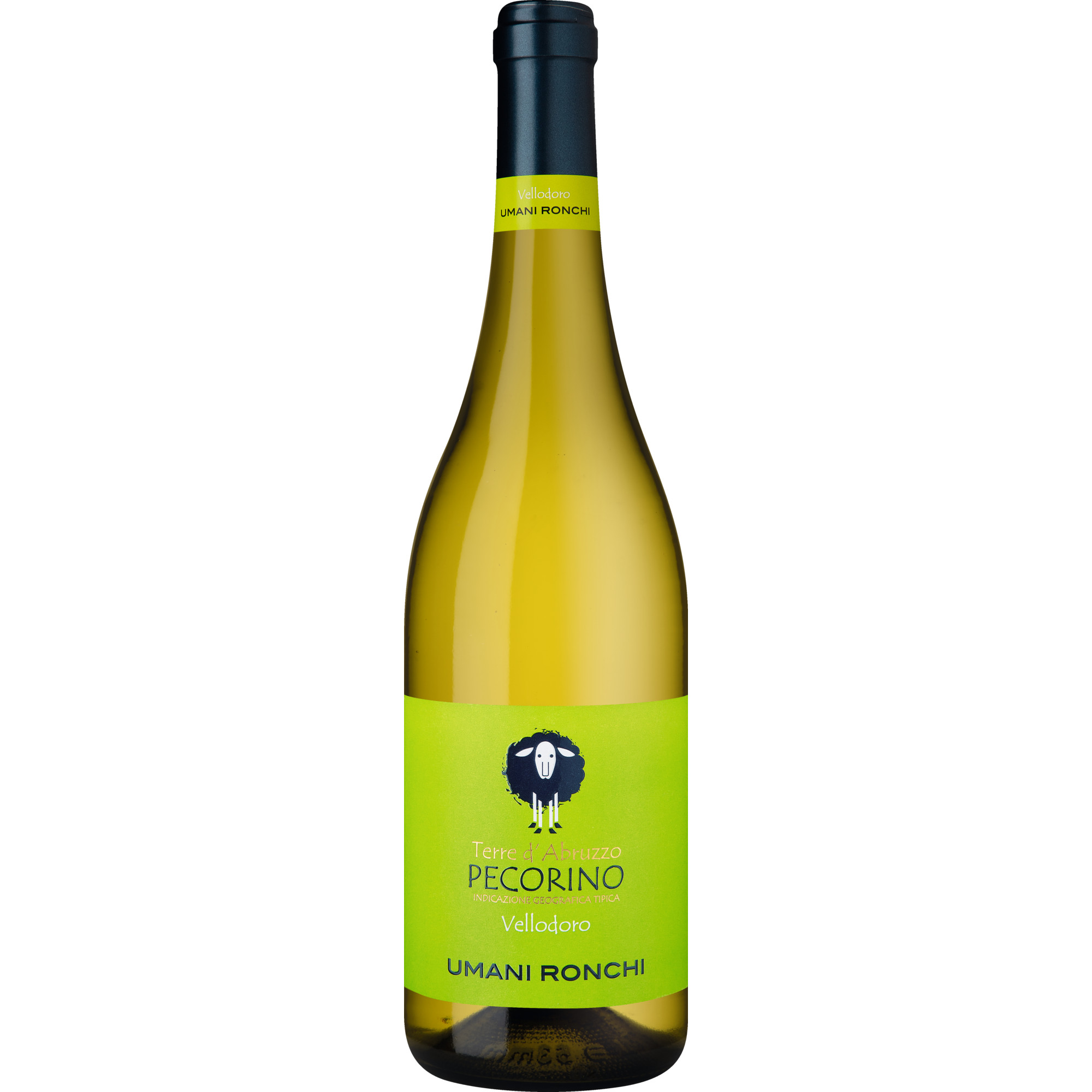 Vellodoro Pecorino, Terre d'Abruzzo IGT, Abruzzen, 2024, Weißwein