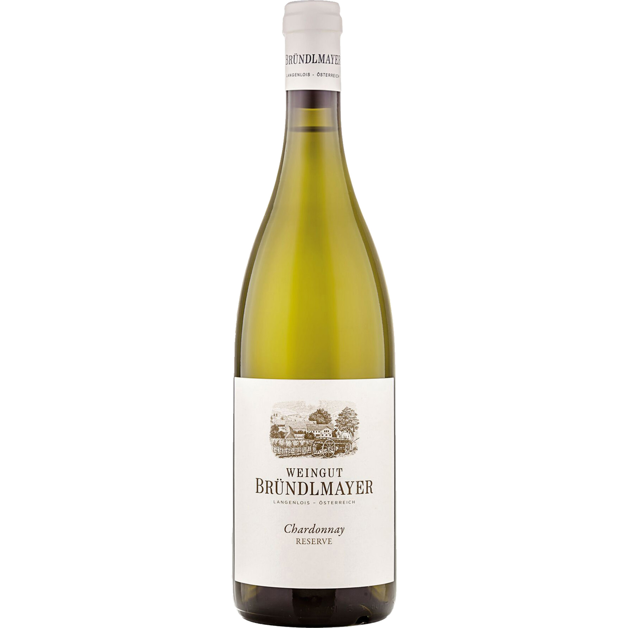 Ried Steinberg Chardonnay Reserve, Kamptal, Trocken, Niederösterreich, 2023, Weißwein