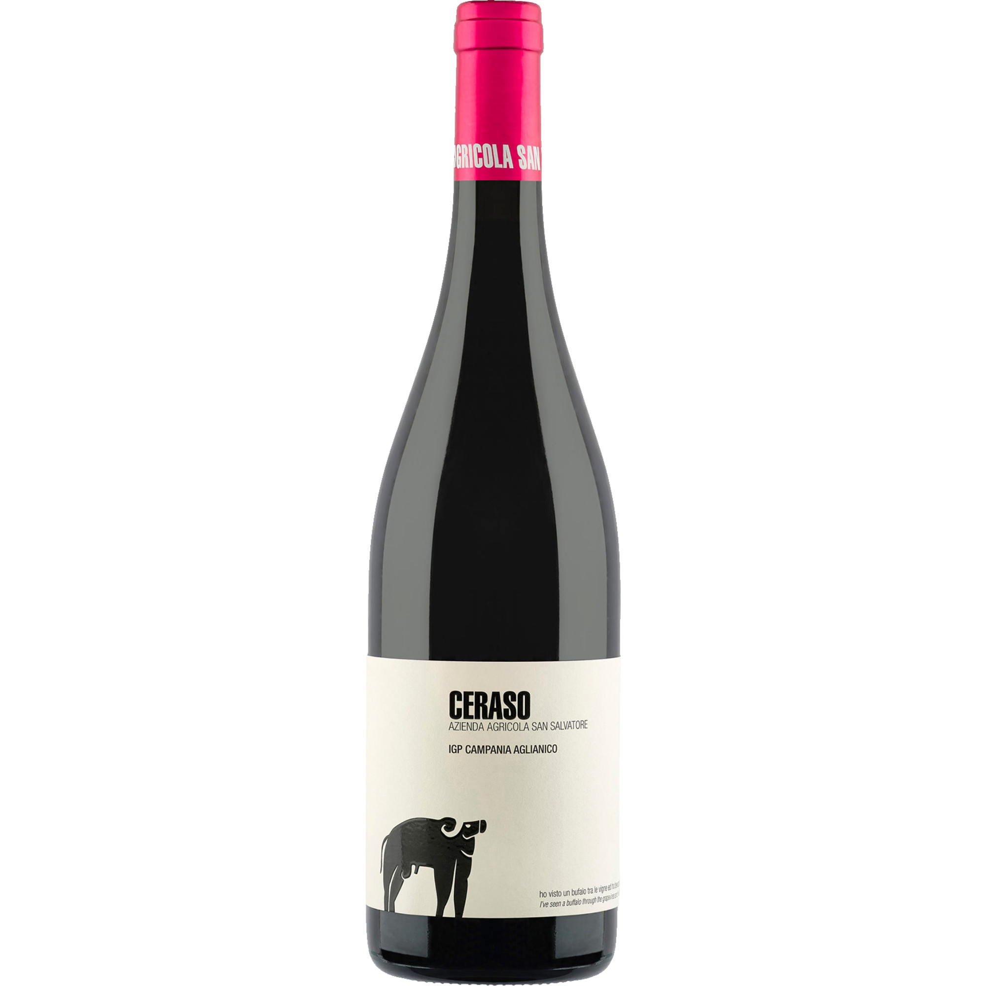 San Salvatore Ceraso Aglianico, Campania IGP, Kampanien, 2023, Rotwein