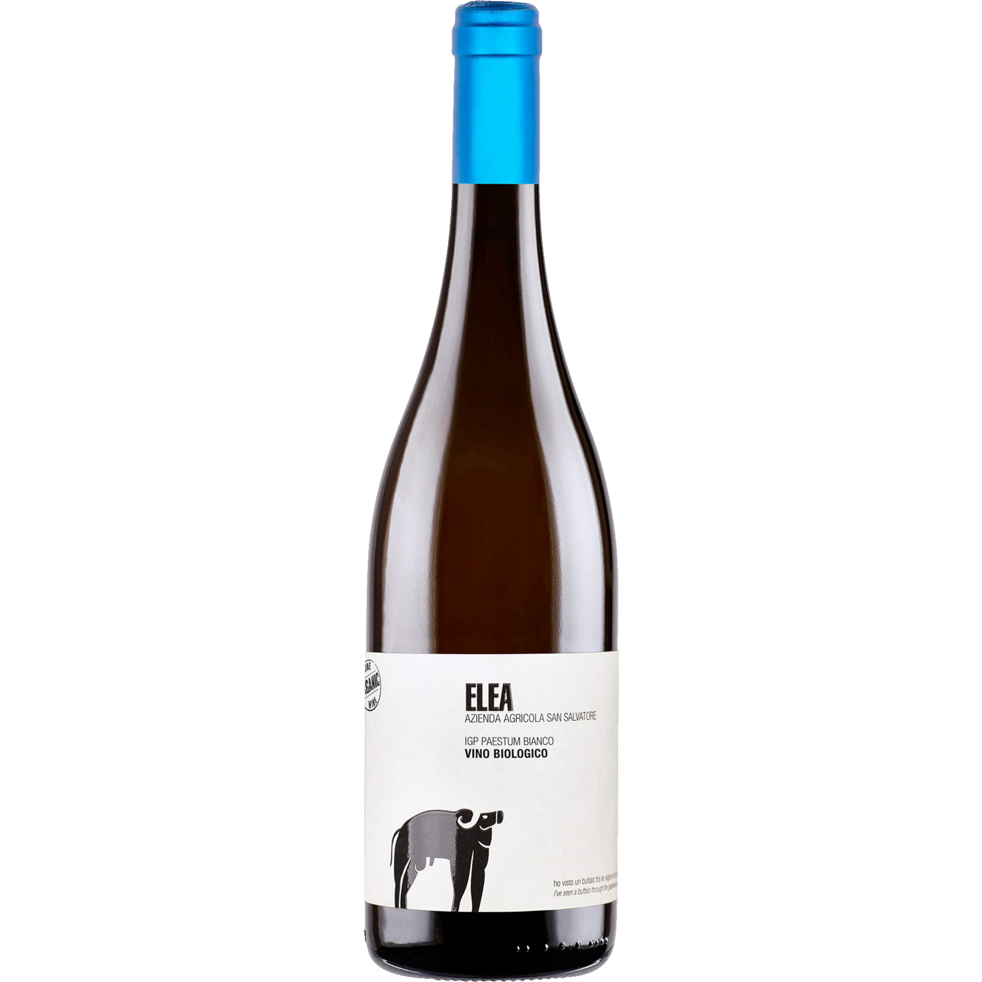 San Salvatore Elea Greco, Paestum IGP, Kampanien, 2022, Weißwein