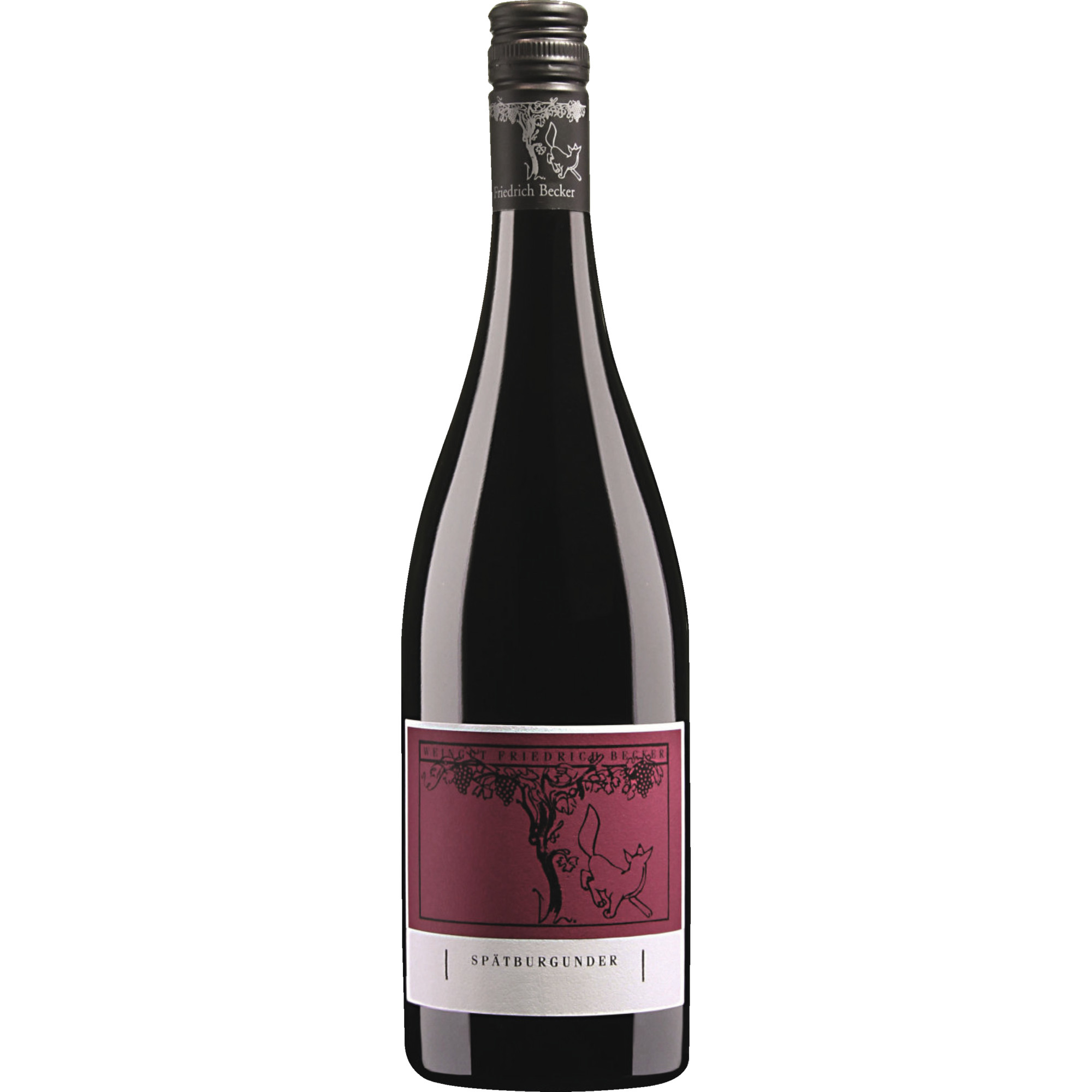 Friedrich Becker Spätburgunder, trocken, Pfalz, 0,375 l, Pfalz, 2020, Rotwein