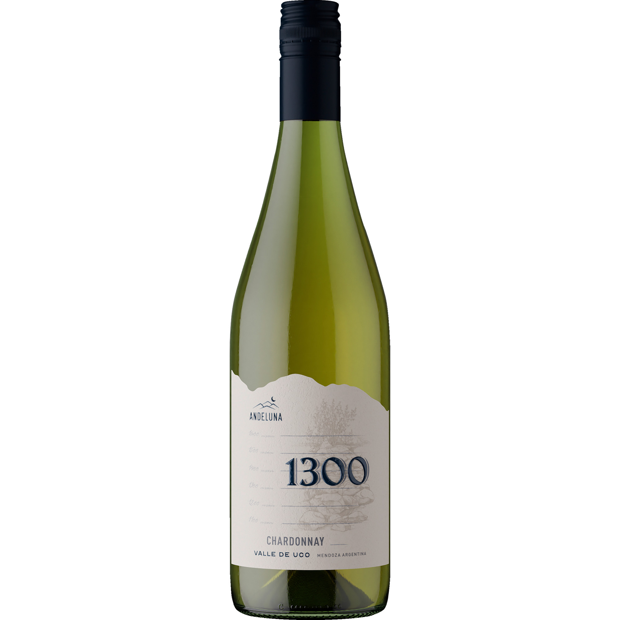 Andeluna Cellars 1300 Chardonnay, Valle de Uco, Mendoza, Mendoza, 2024, Weißwein