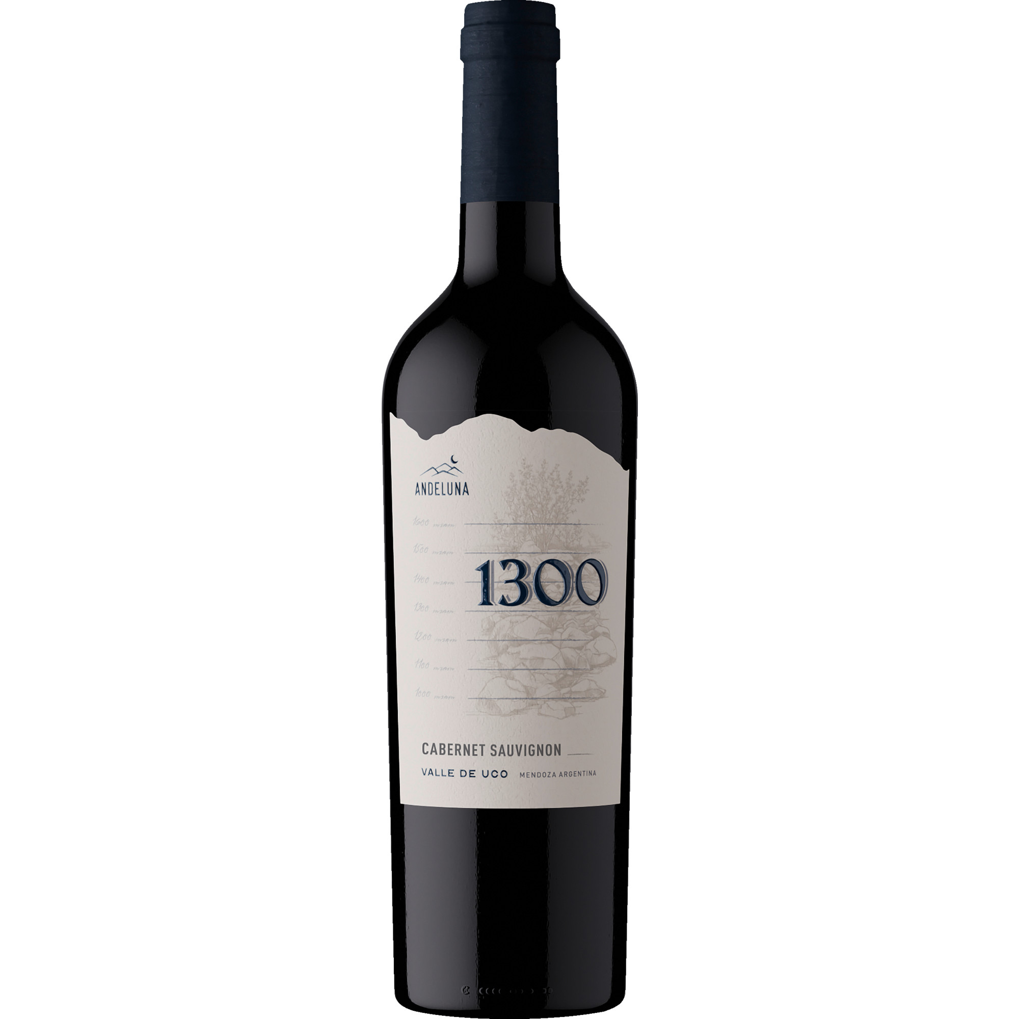 Andeluna Cellars 1300 Cabernet Sauvignon, Valle de Uco, Mendoza, Mendoza, 2023, Rotwein