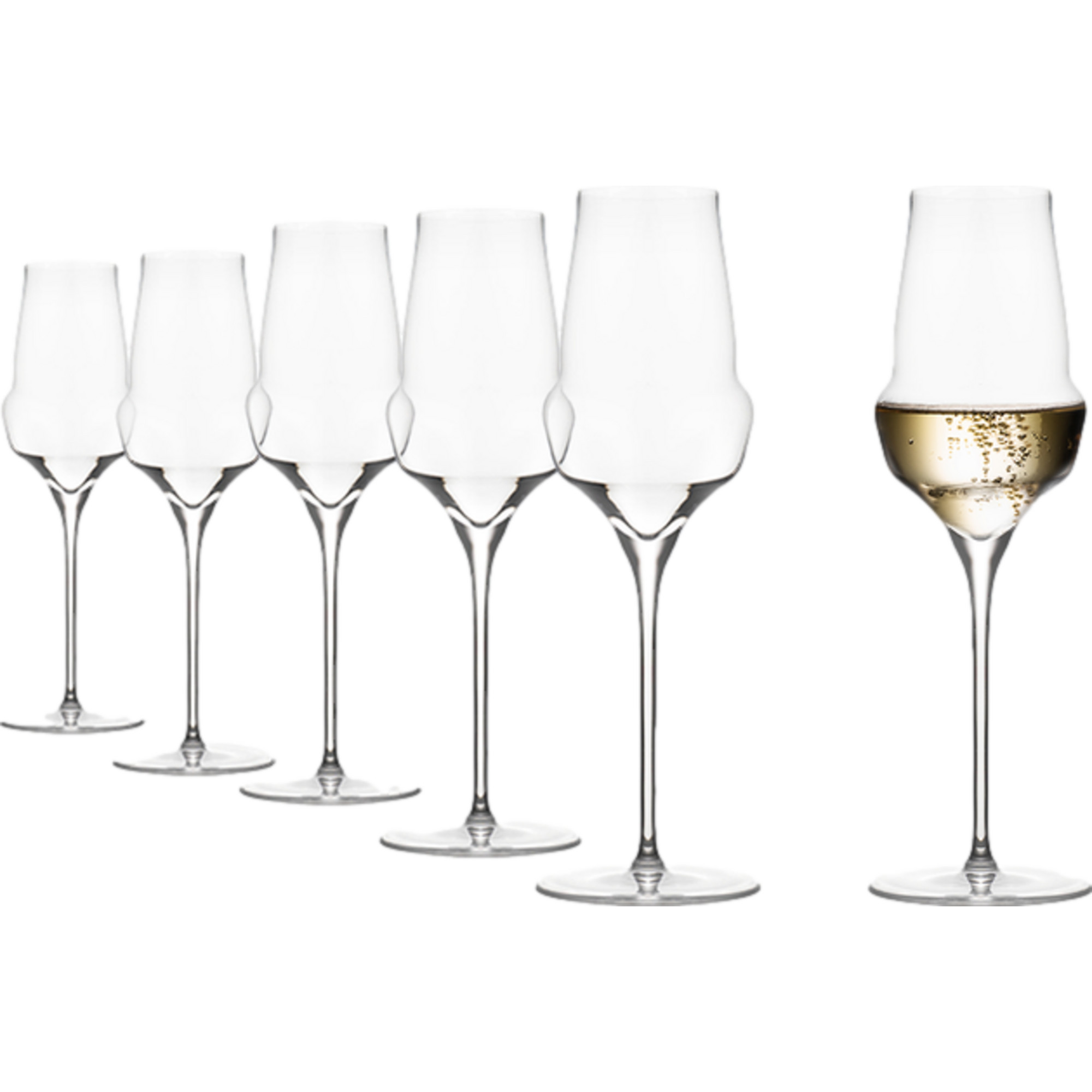 Image of Stölzle Champagnerglas, Cocoon, Accessoires