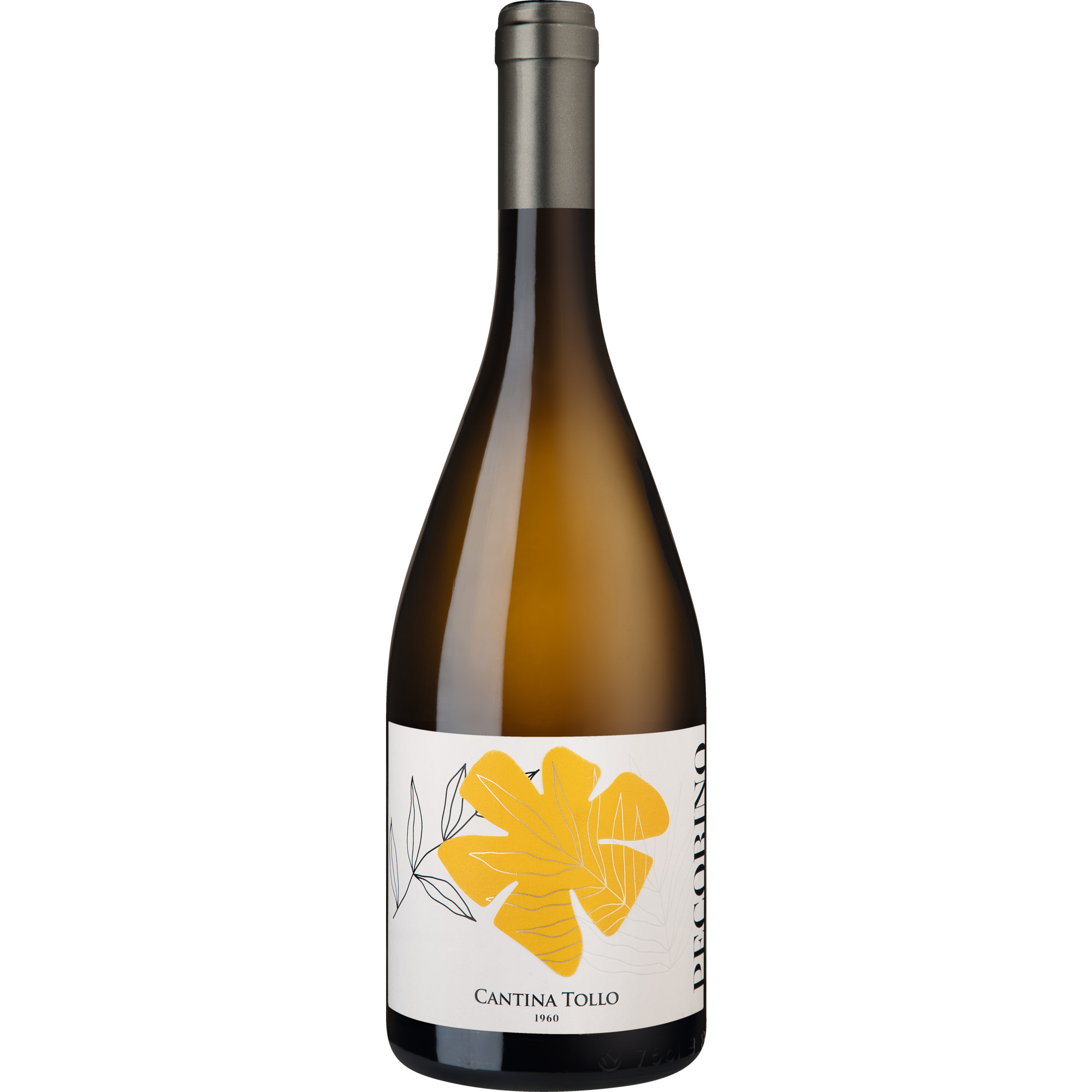 Tollo Hedós Pecorino, Terre d’ Abruzzo IGP, Abruzzen, 2024, Weißwein