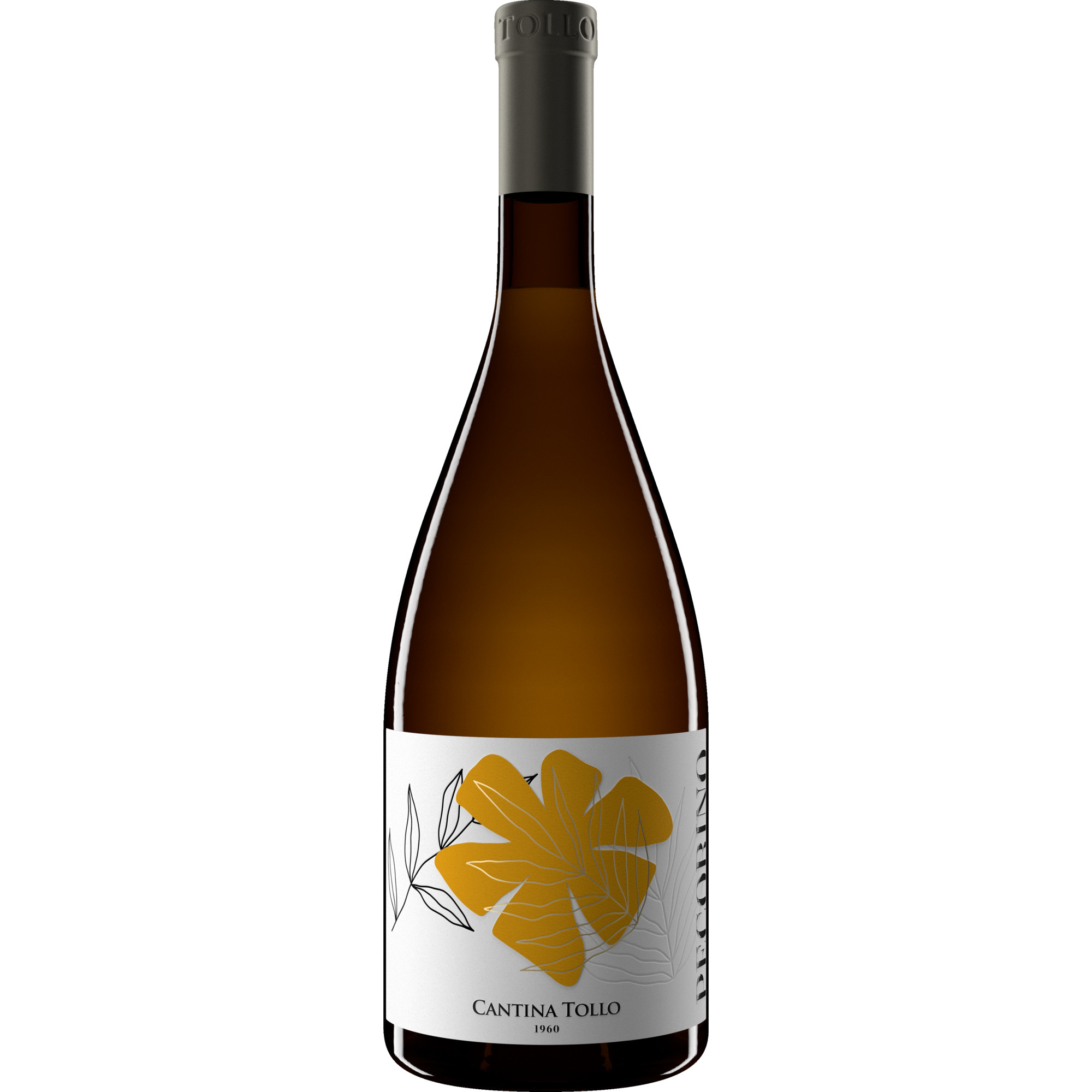 Tollo Hedós Pecorino, Terre d’ Abruzzo IGP, Abruzzen, 2024, Weißwein