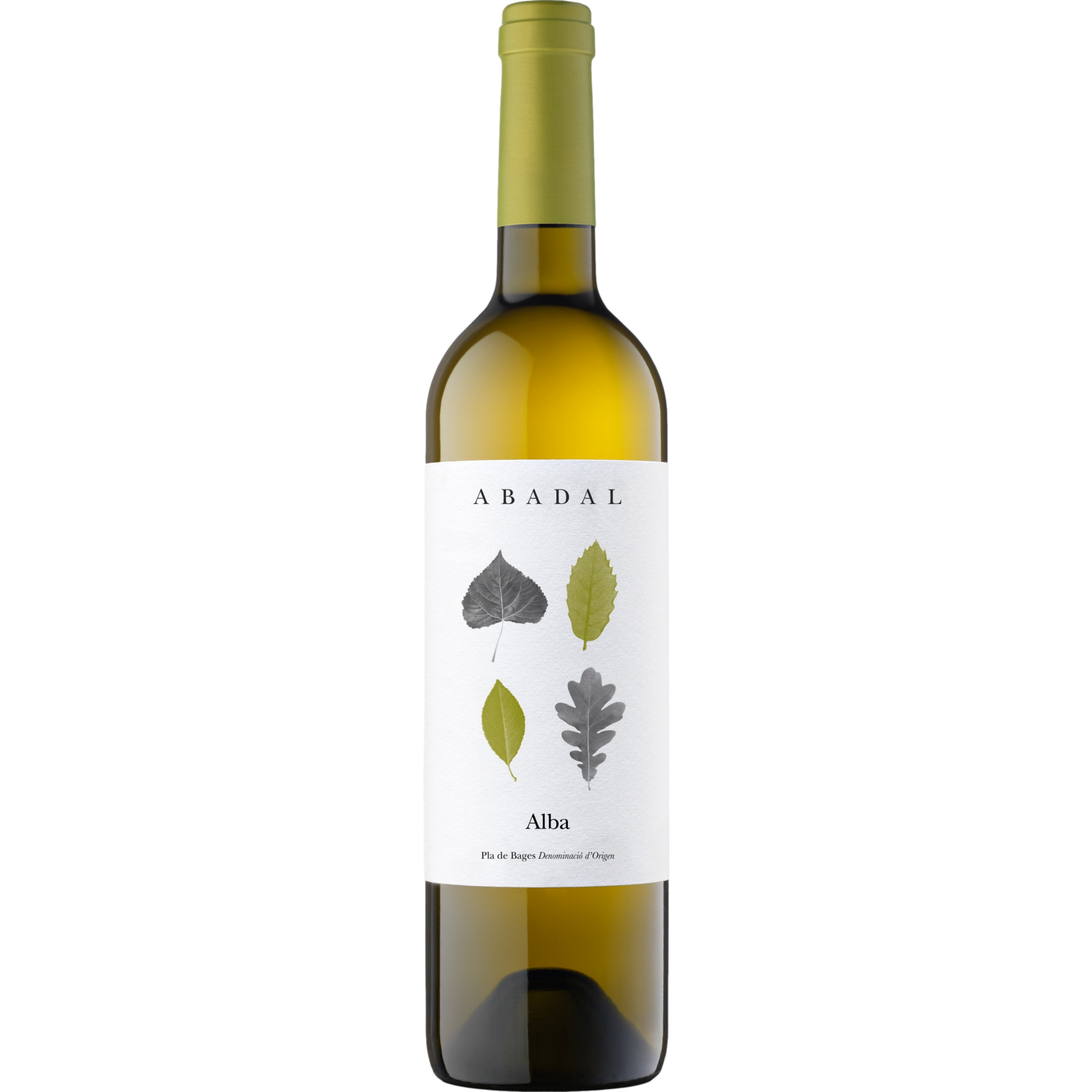 Abadal Alba, Pla de Bages DO, Katalonien, 2023, Weißwein