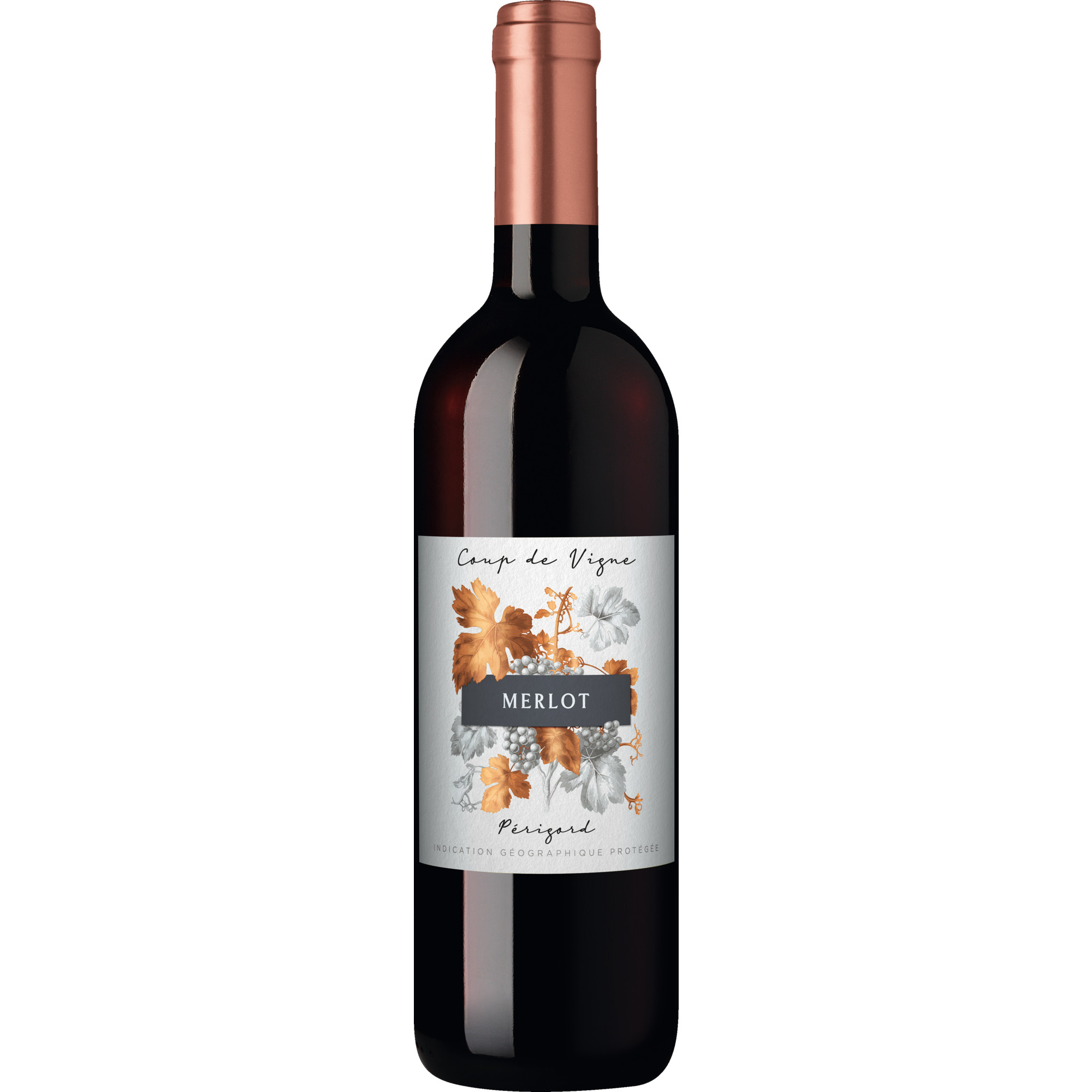 Image of Coup de Vigne Merlot, Périgord IGP, Bordeaux, 2024, Rotwein