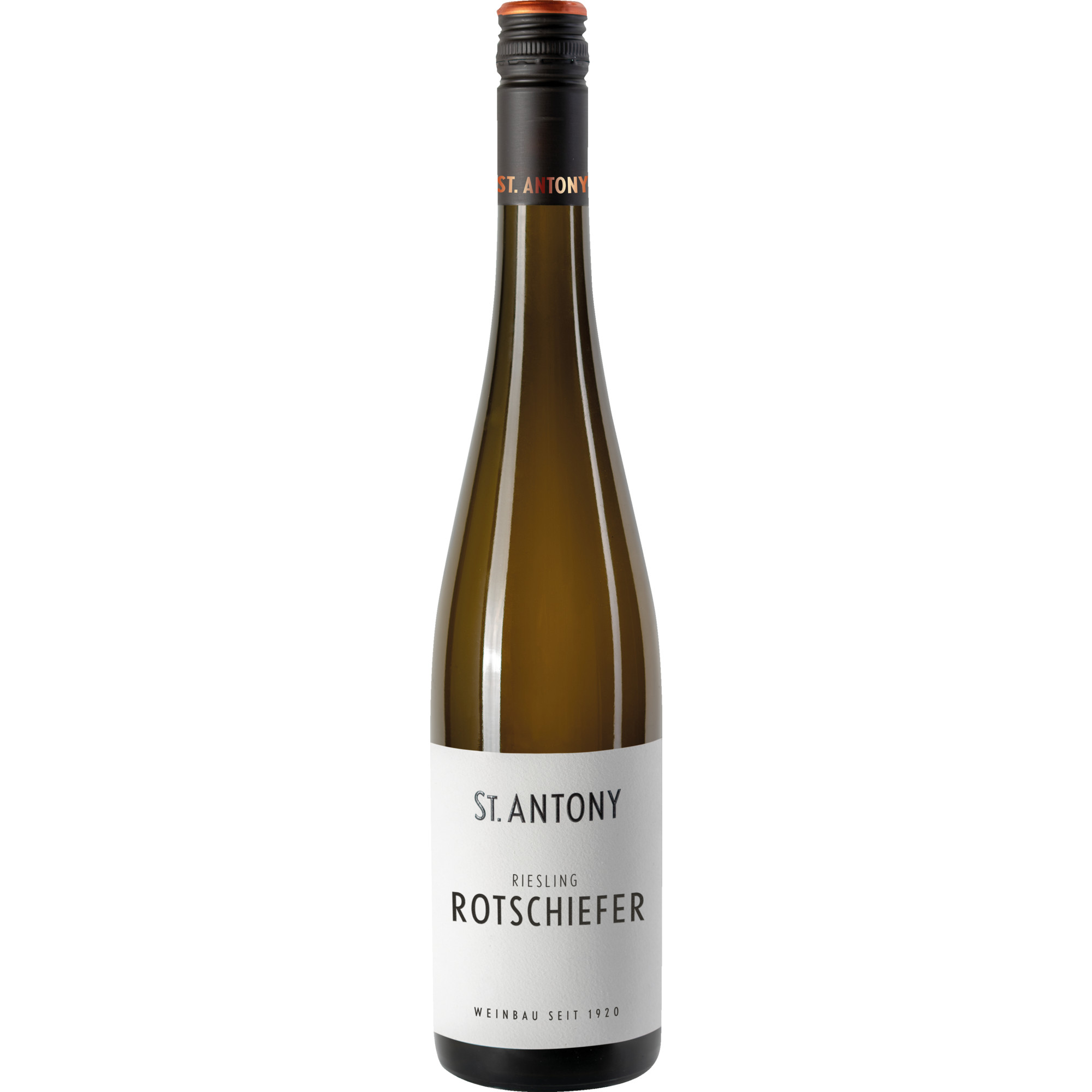 St. Antony Rotschiefer Riesling, Trocken, Rheinhessen, Rheinhessen, 2024, Weißwein