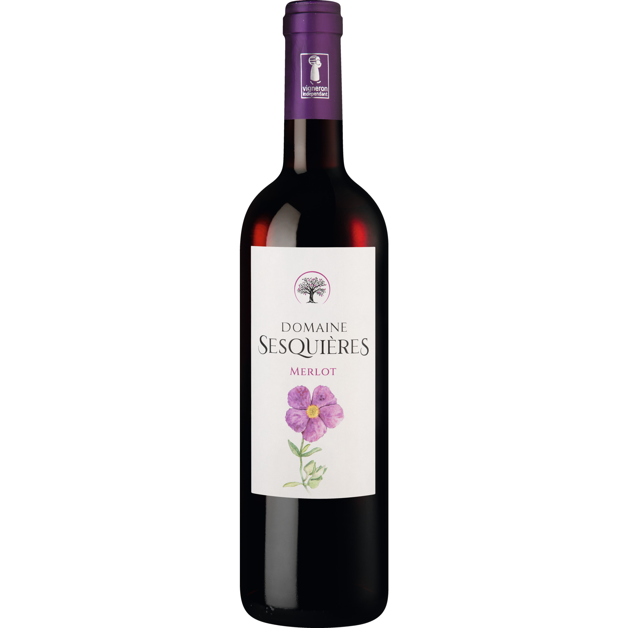 Merlot, Pays d'Oc IGP, Languedoc-Roussillon, 2023, Rotwein