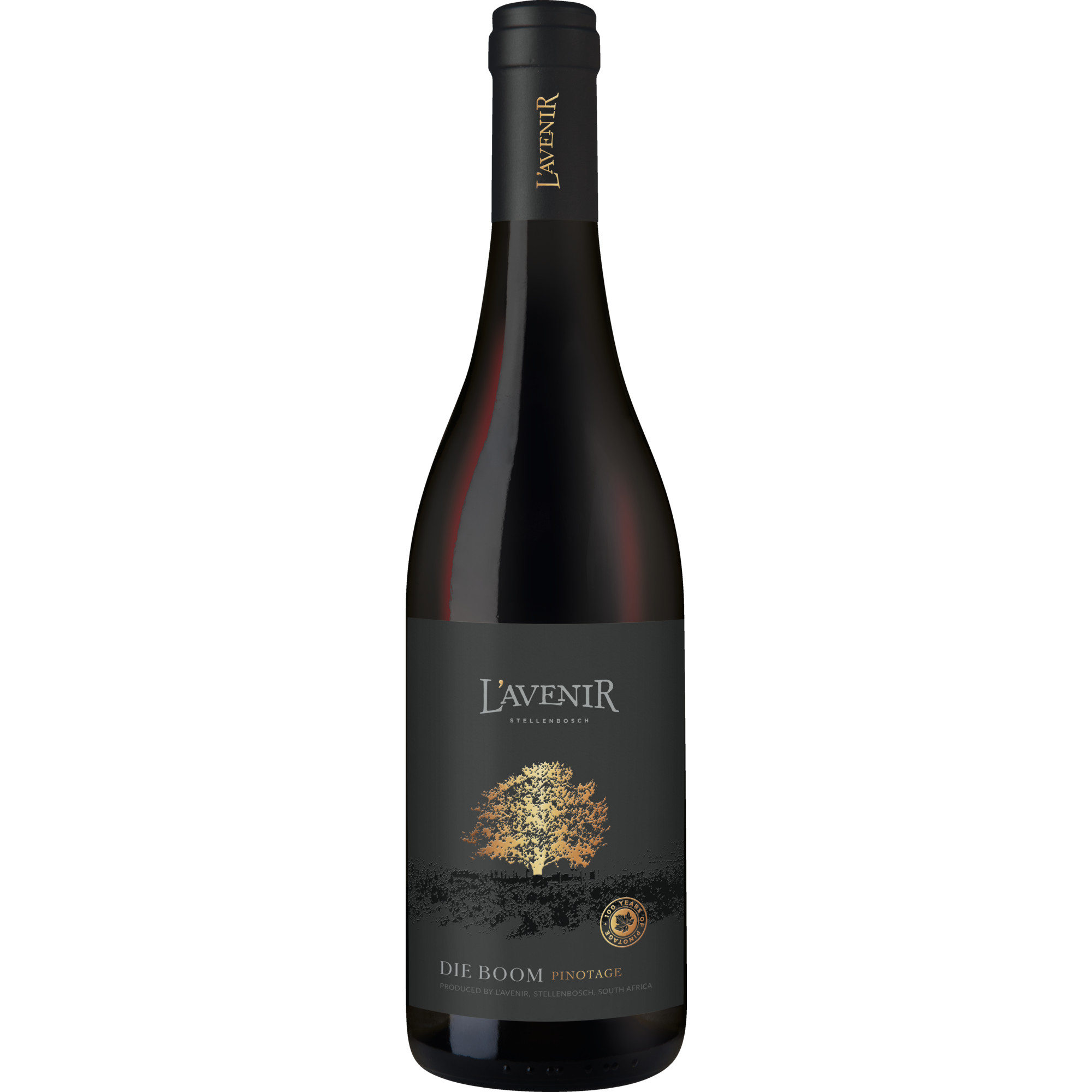 L'Avenir Die Boom Pinotage, WO Stellenbosch, Western Cape, 2024, Rotwein
