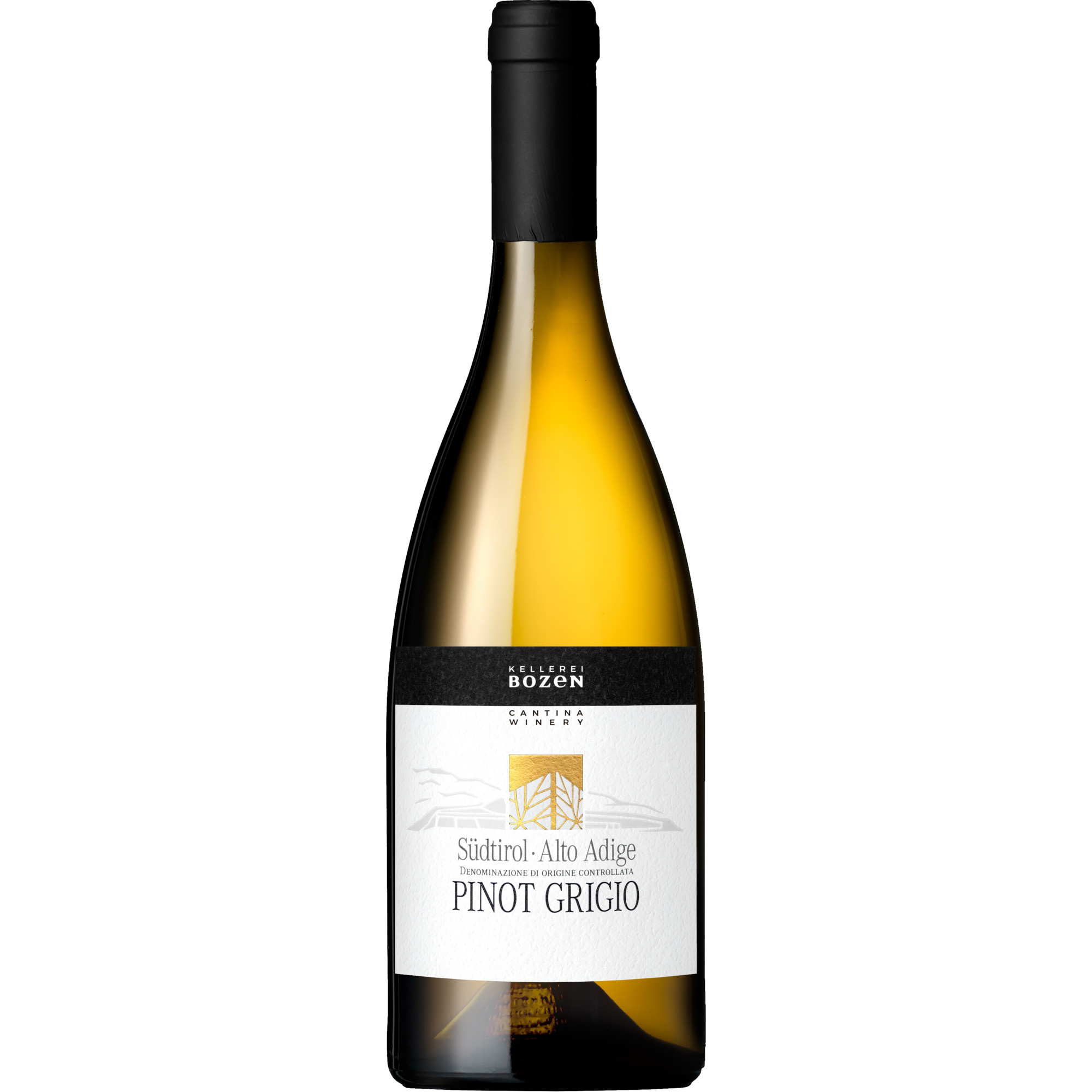 Kellerei Bozen Pinot Grigio, Alto Adige DOC, Südtirol, 2024, Weißwein
