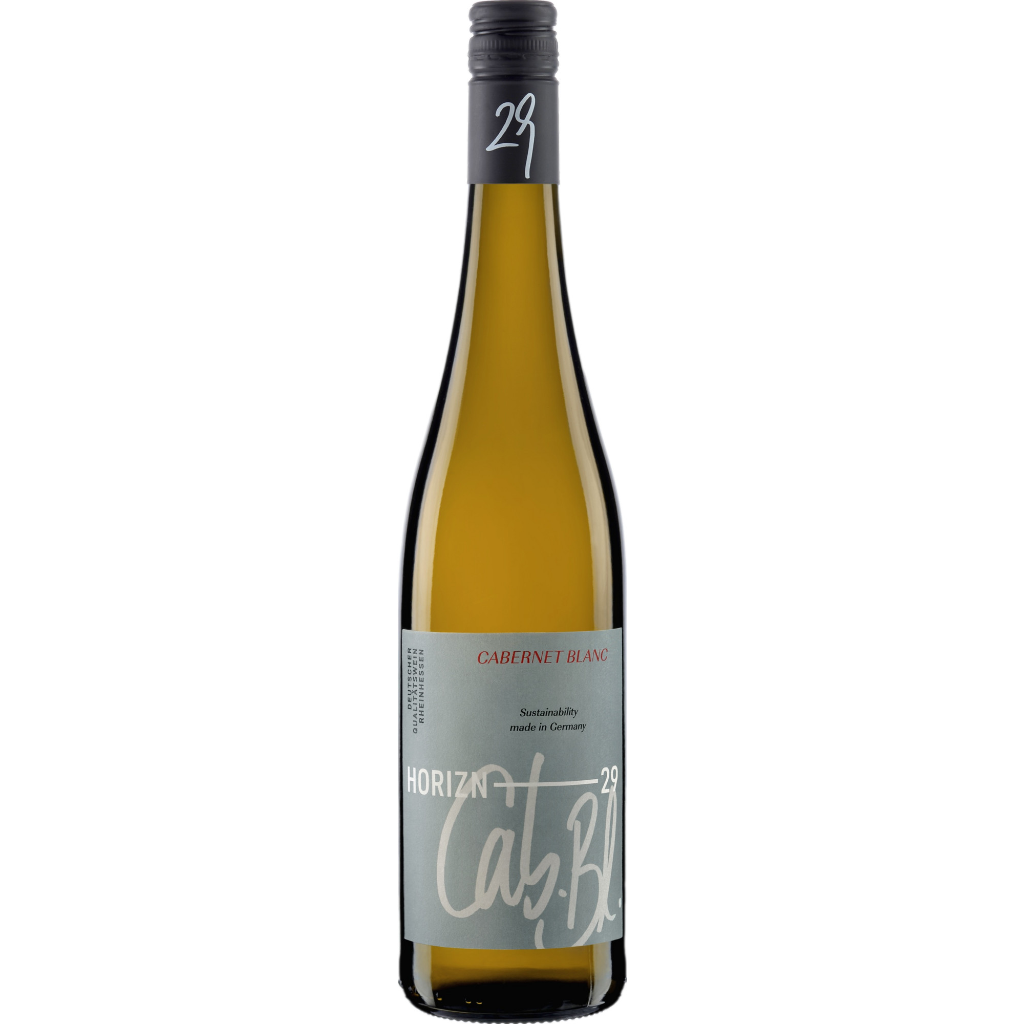 Andreas Oster Horizn29 Cabernet Blanc Piwi QbA, Trocken, Rheinhessen, Rheinhessen, 2023, Weißwein