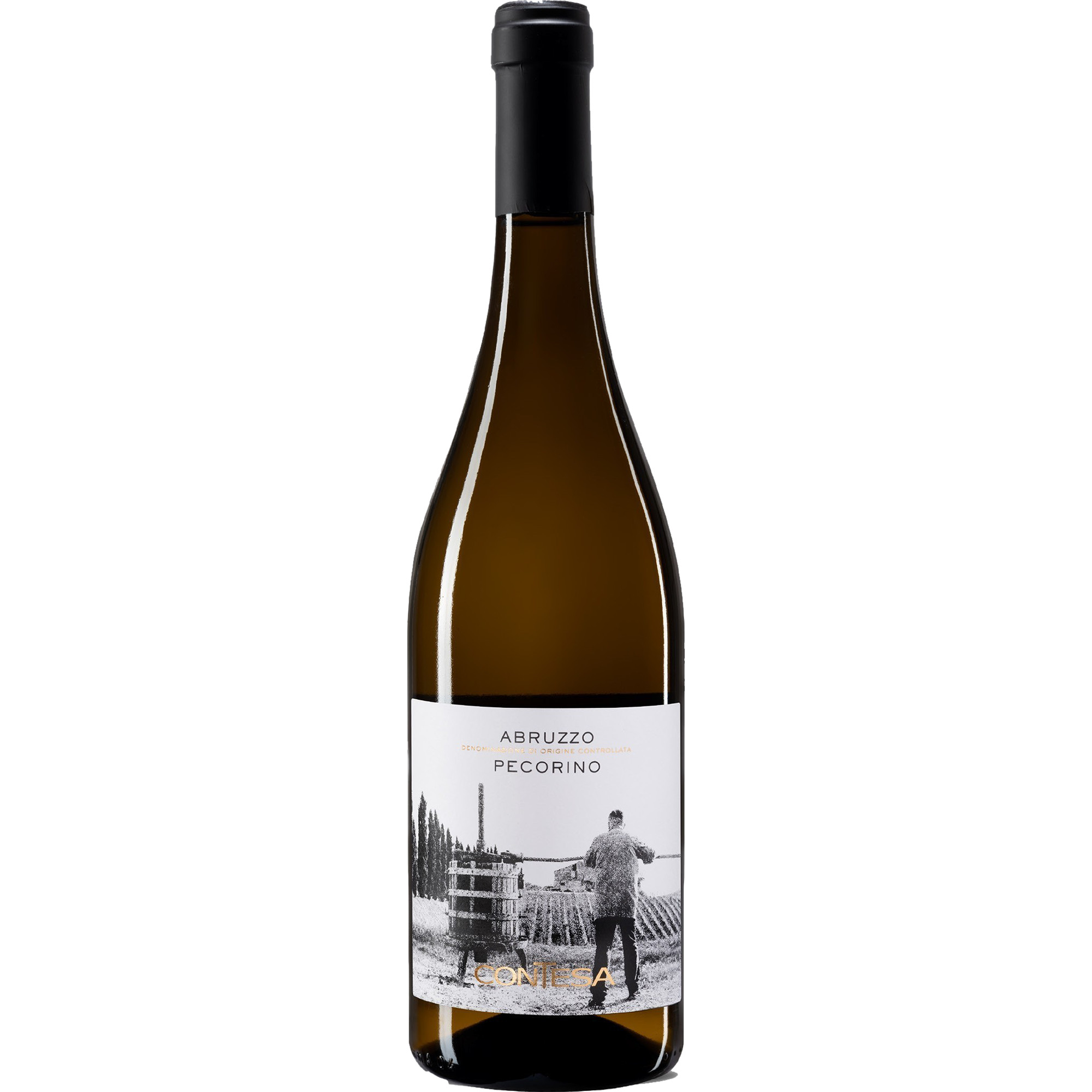 Contesa Abrzuzzo Pecorino, Abruzzo DOC, Abruzzen, 2024, Weißwein