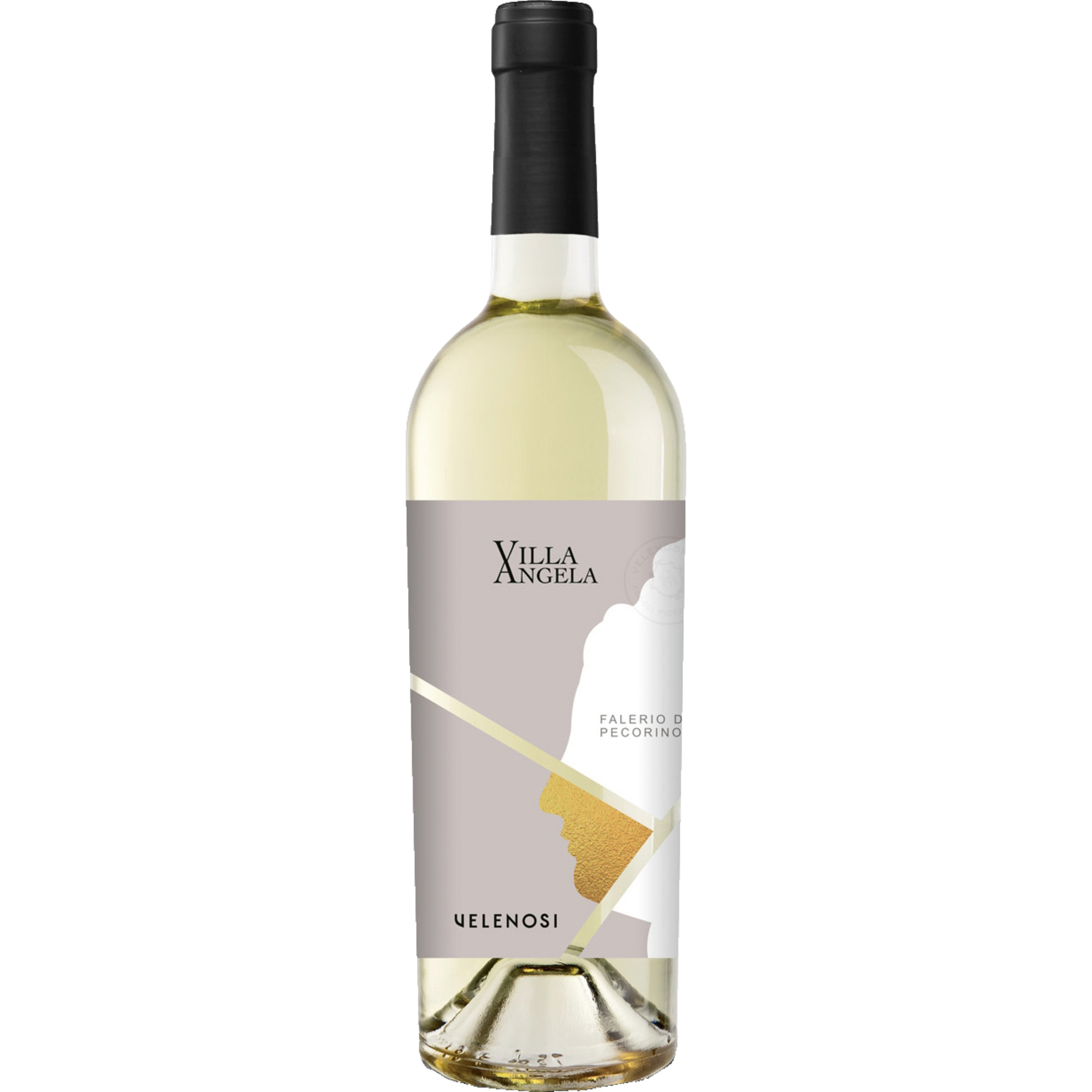 Falerio dei Colli Ascolani, Bianco DOC, Marken, 2024, Weißwein