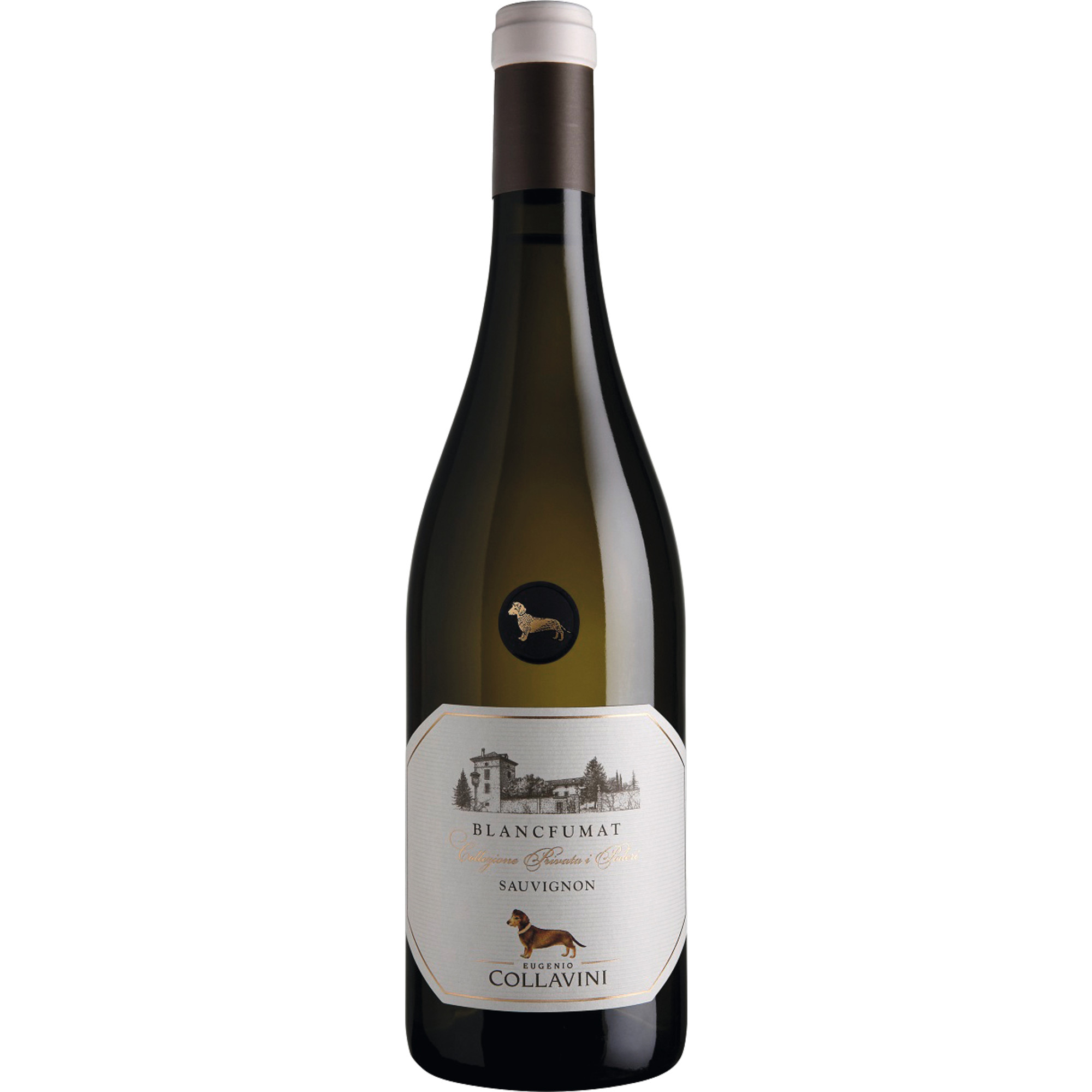 Eugenio Collavini Sauvignon Blanc, Blancfumat Collio DOC, Friaul, 2024, Weißwein