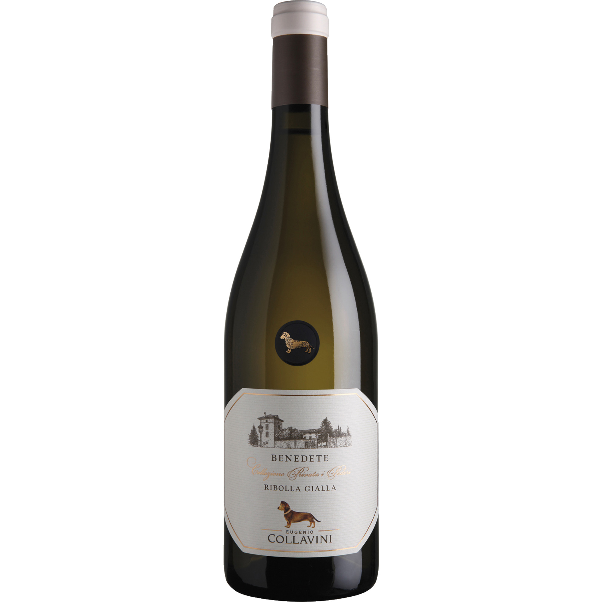 Benedete Ribolla Gialla, Gialla IGT delle Venezie, Friaul, 2024, Weißwein