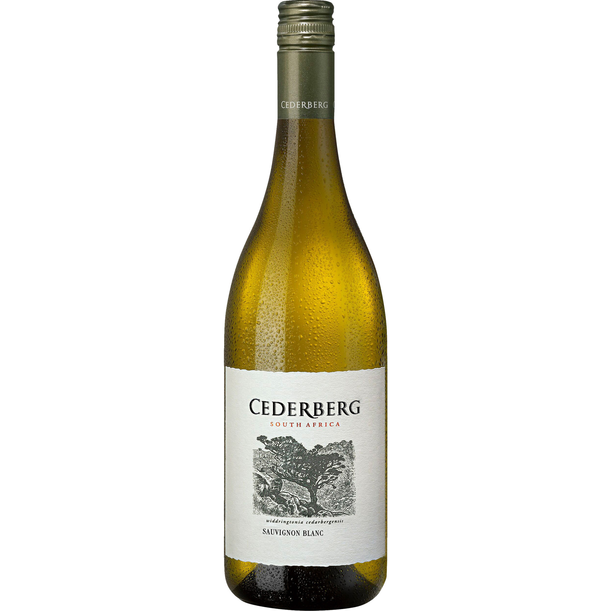 Image of Cederberg Sauvignon Blanc 2021