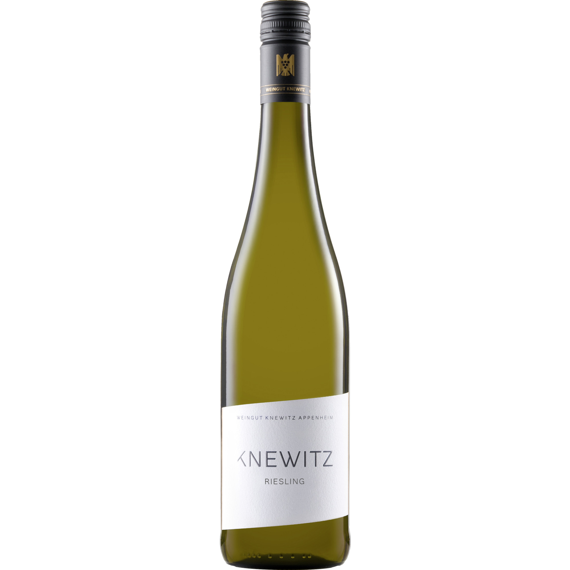Knewitz Riesling, Trocken, Rheinhessen, Rheinhessen, 2024, Weißwein