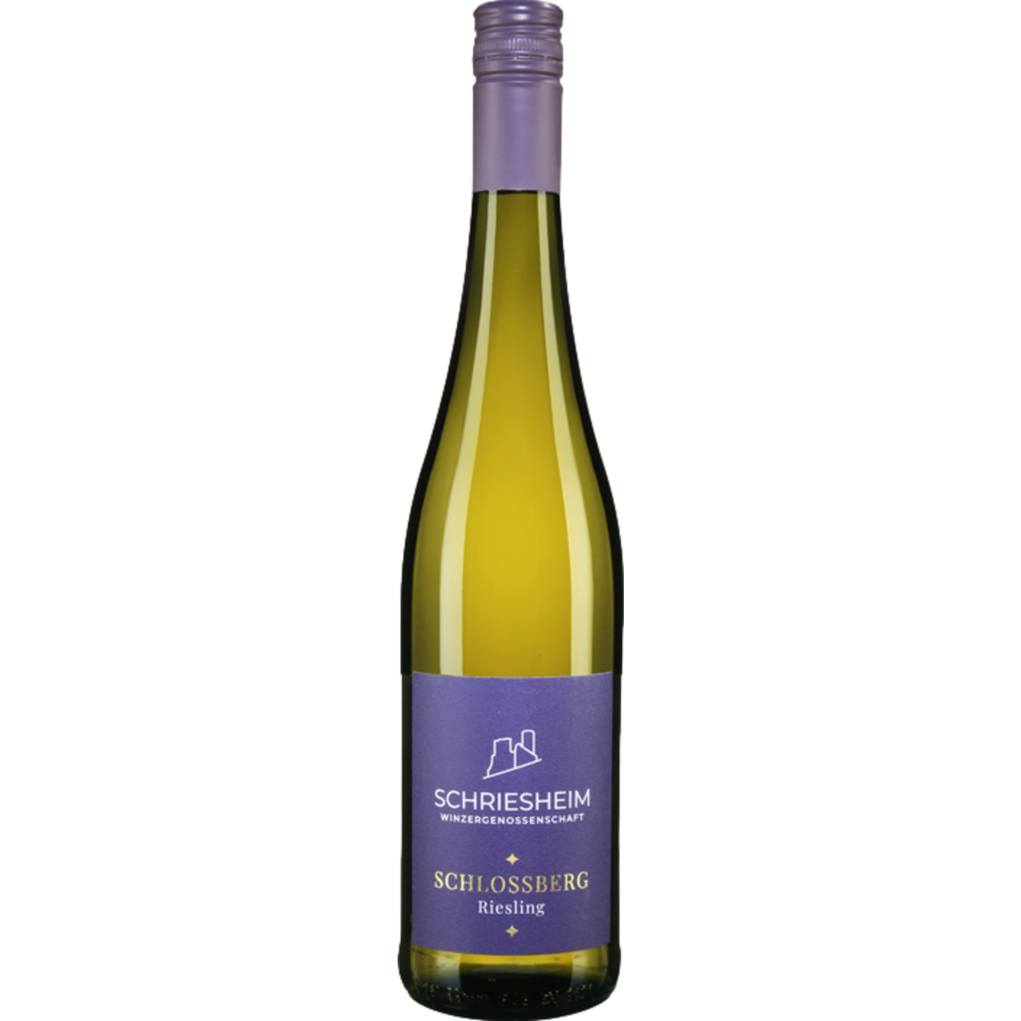 Schriesheimer Schlossberg Meisterwerk Riesling, Trocken, Baden, Baden, 2023, Weißwein