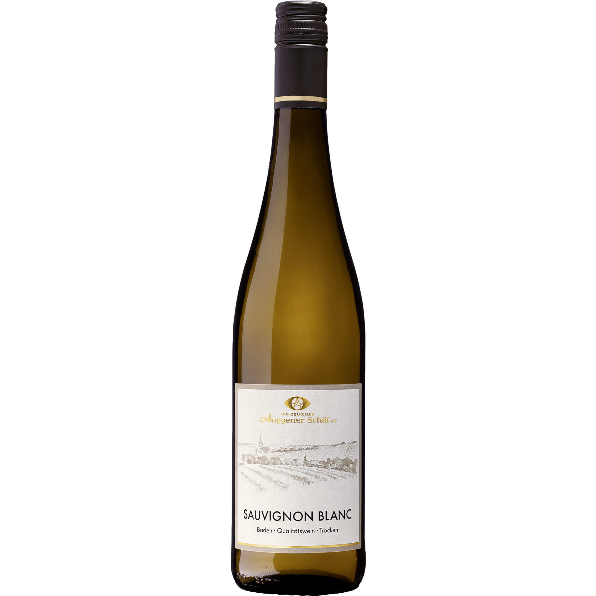Image of Winzerkeller Auggener Schäf Sauvignon Blanc, Trocken, Baden, Baden, 2024, Weißwein
