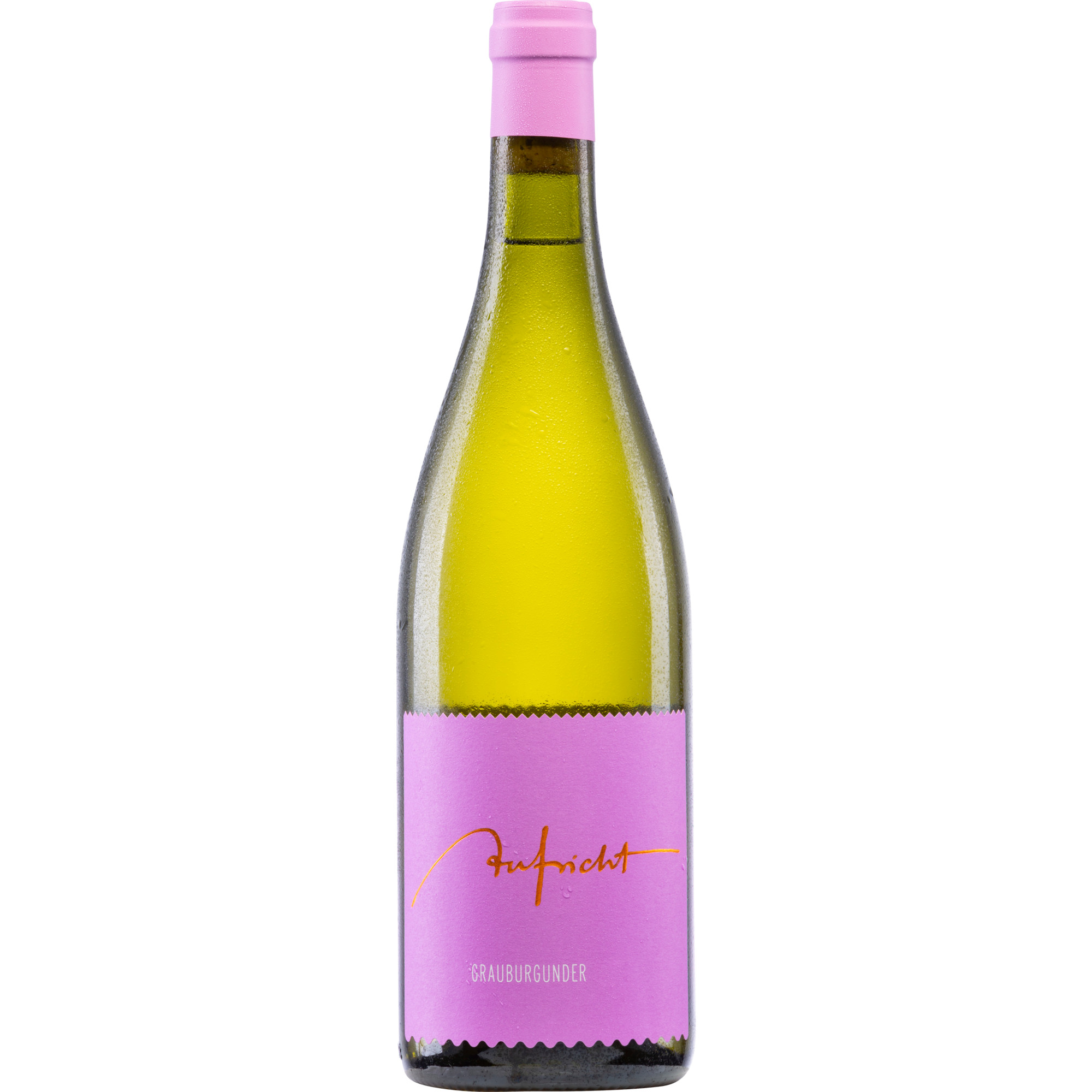 Image of Aufricht Grauburgunder, Trocken, Baden, Baden, 2024, Weißwein