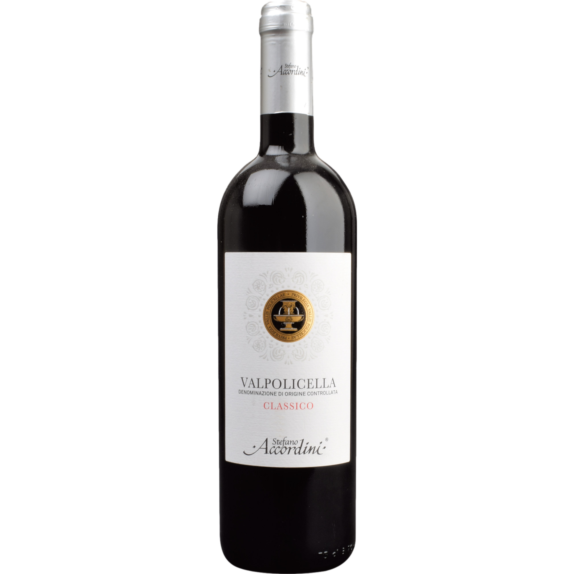 Stefano Accordini Valpolicella Classico, Valpolicella DOC, Venetien, 2024, Rotwein