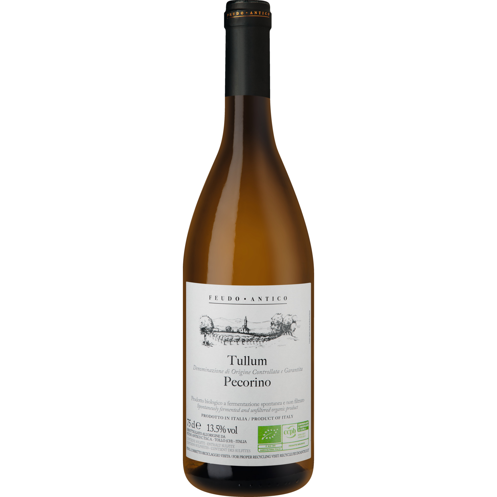 Image of Feudo Antico Pecorino Biologico, Tullum DOCG, Abruzzen, 2024, Weißwein