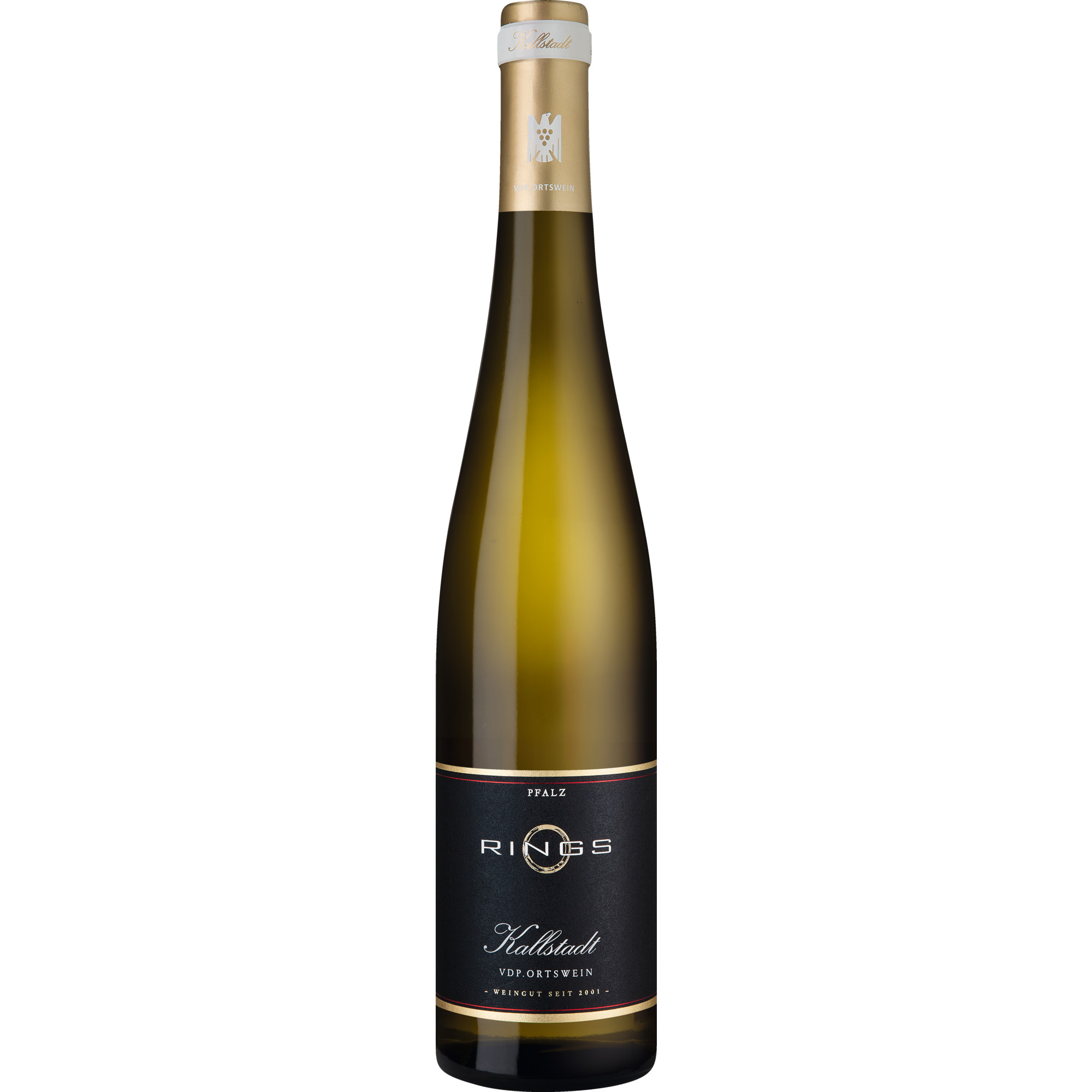 Kallstadt Riesling, Trocken, Pfalz, 2024, Weißwein