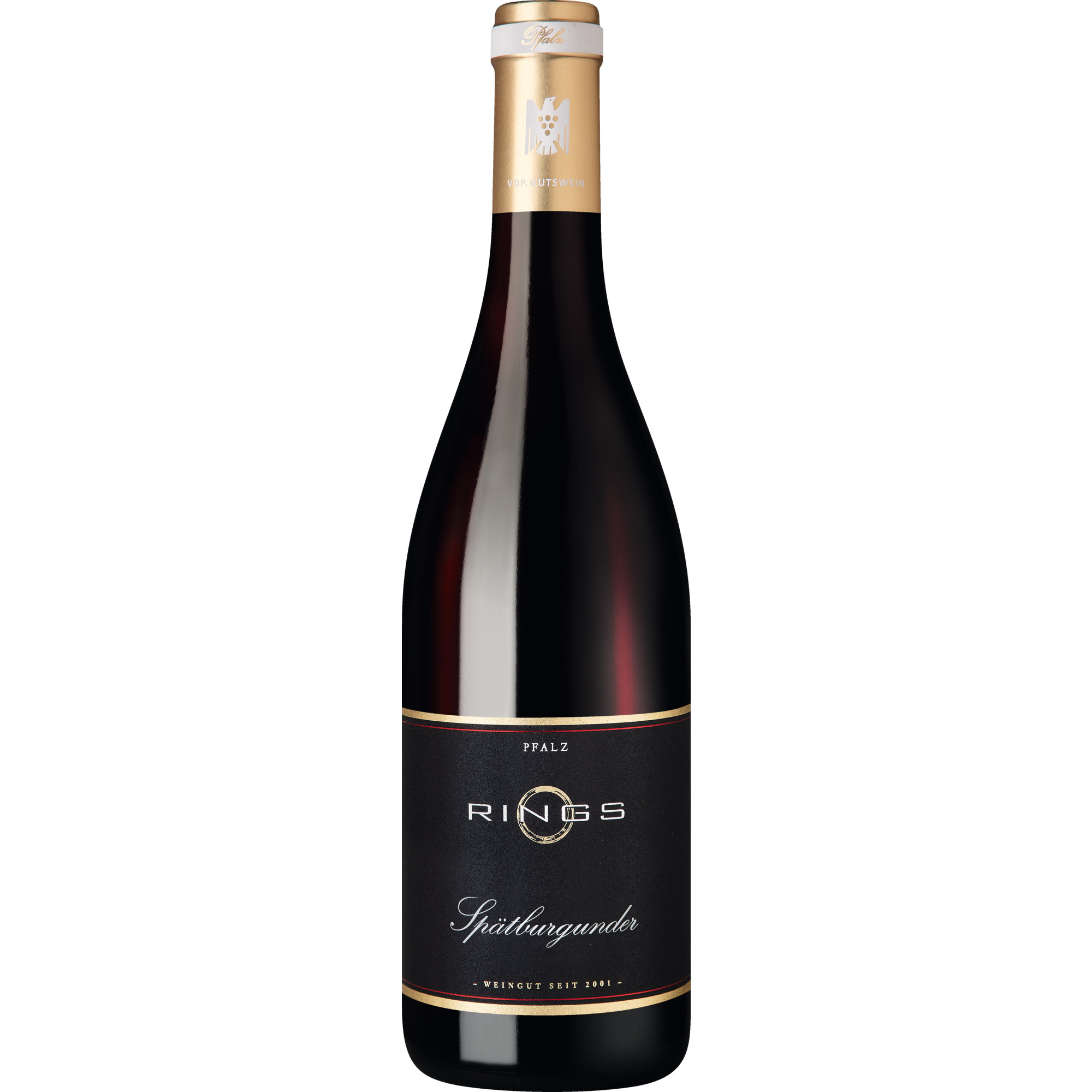 Rings Spätburgunder, Trocken, Pfalz, Pfalz, 2023, Rotwein