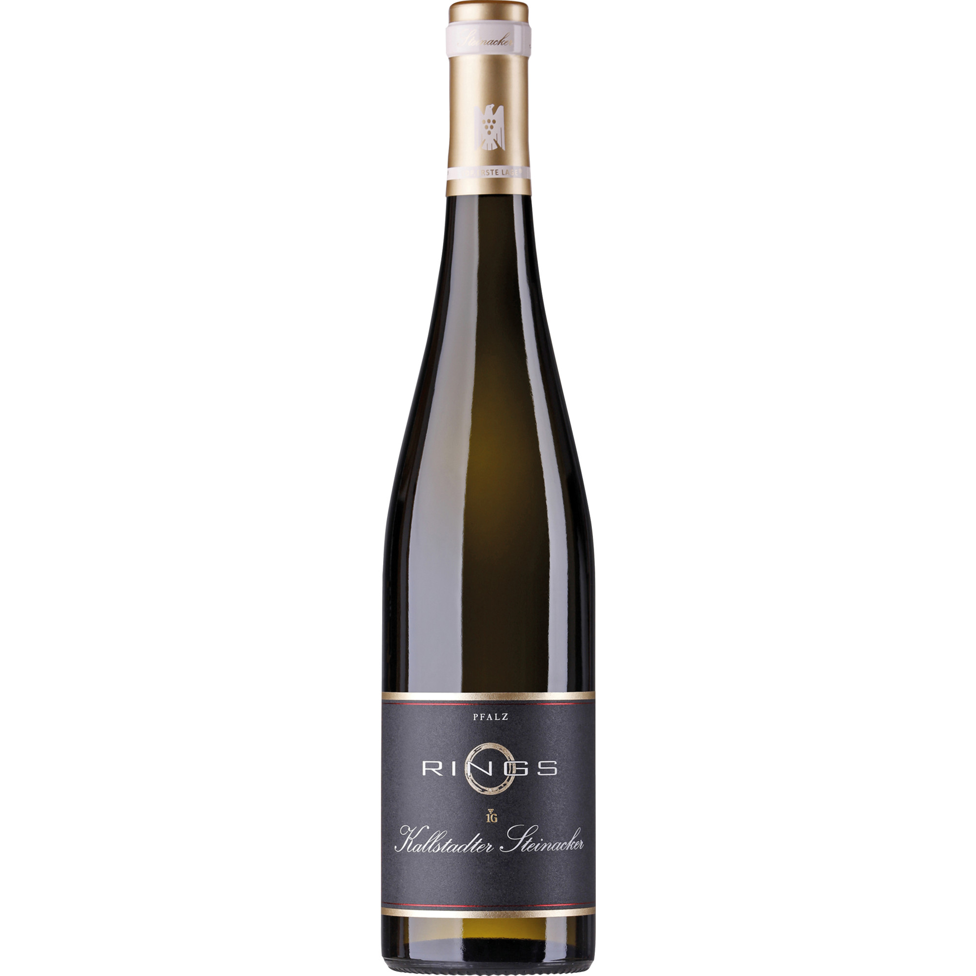 Kallstadter Steinacker Riesling, Trocken, Pfalz, Pfalz, 2023, Weißwein