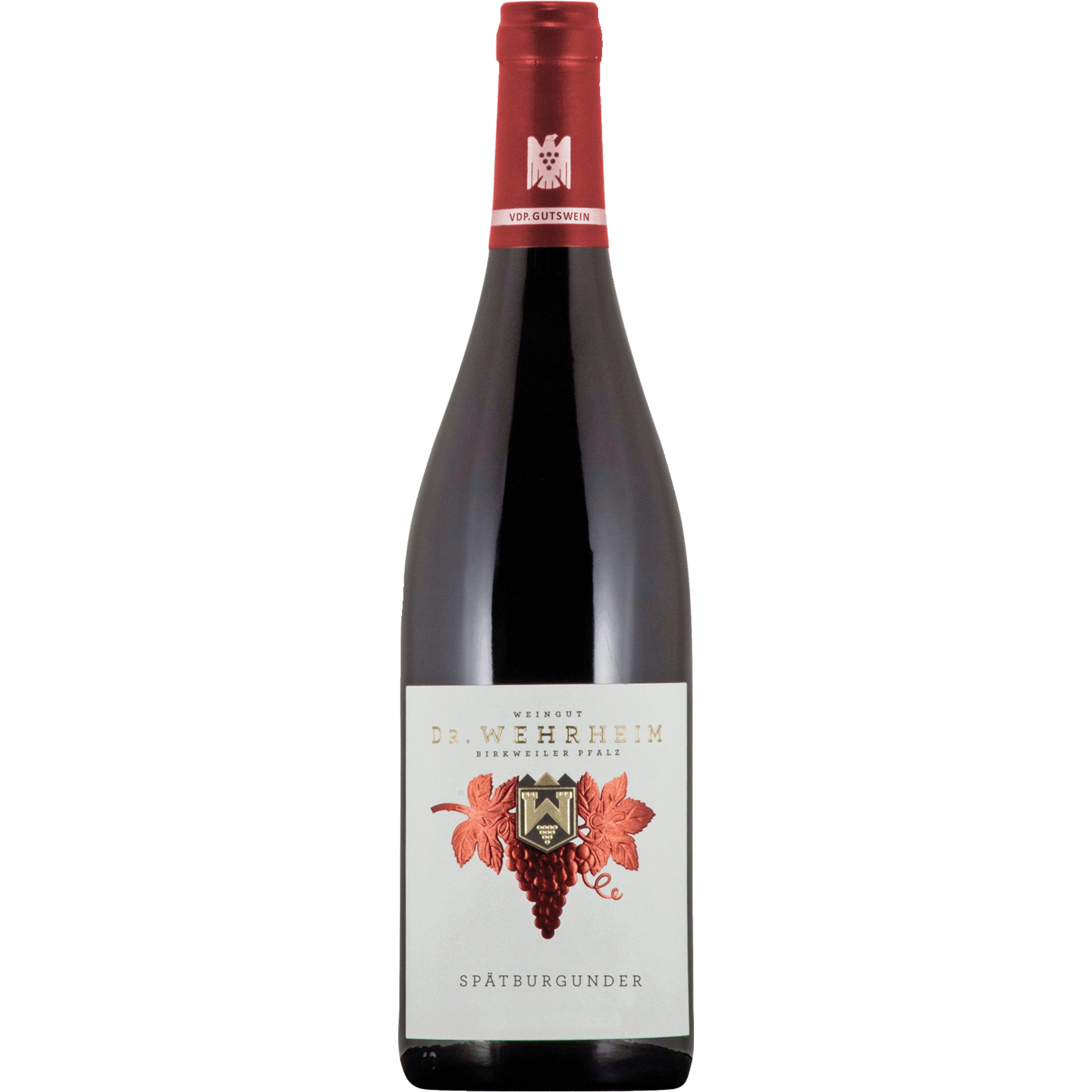 Dr.Wehrheim Spätburgunder, Trocken, Pfalz, Pfalz, 2023, Rotwein