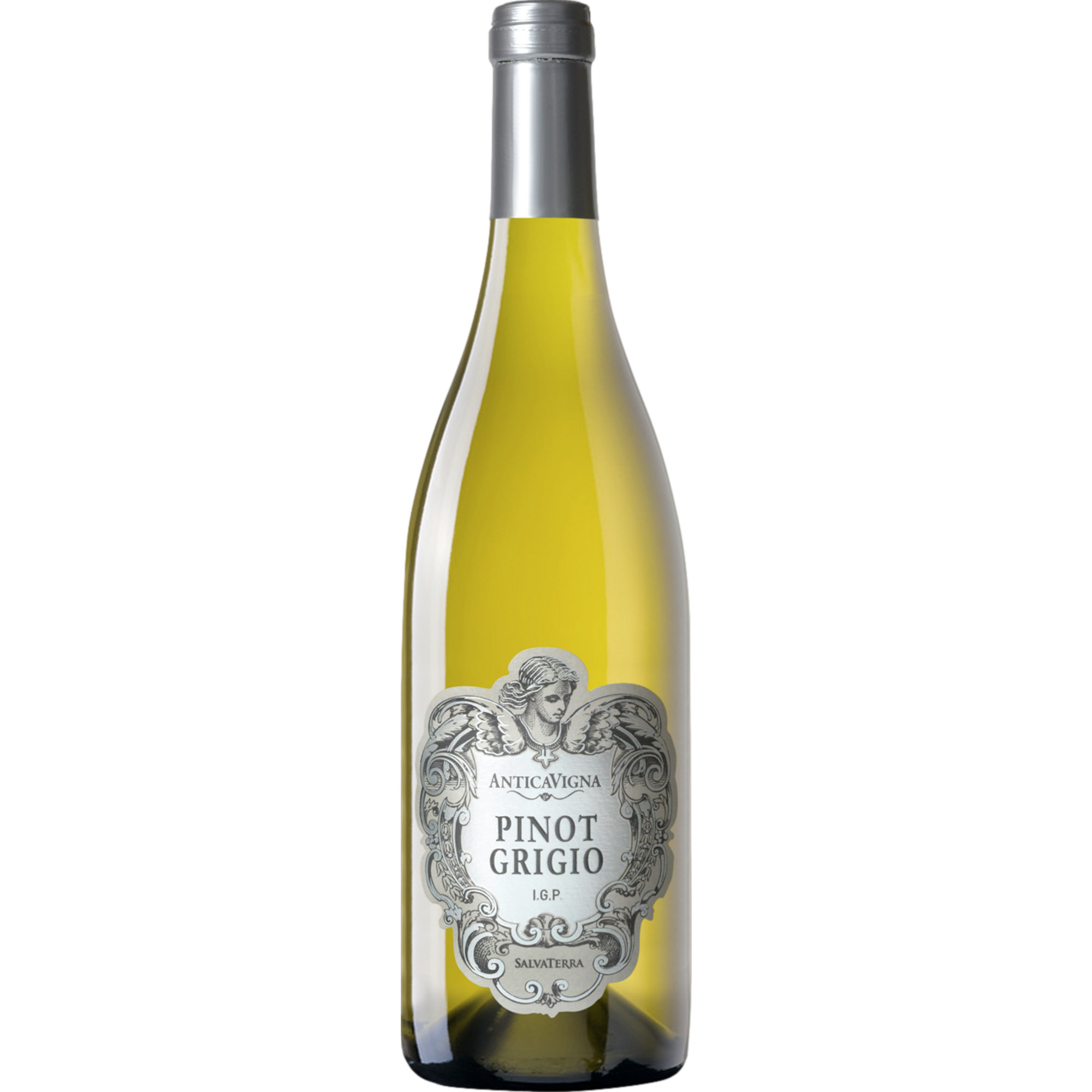 Antica Vigna Pinot Grigio, Delle Venezie DOC, Venetien, 2024, Weißwein