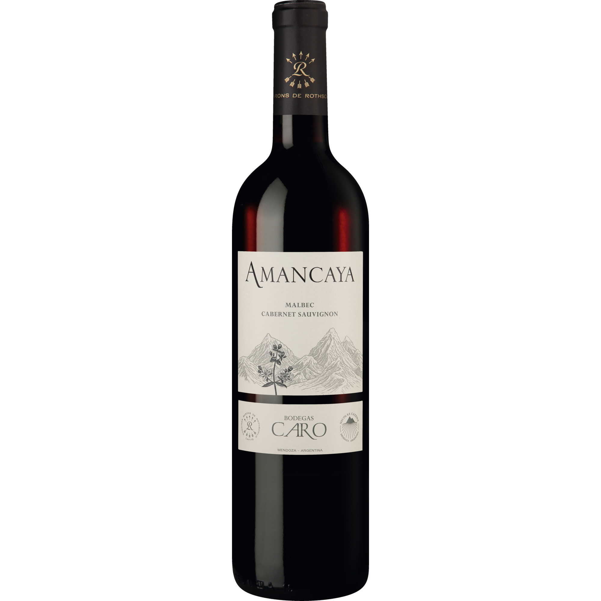 Amancaya, Mendoza, Mendoza, 2021, Rotwein