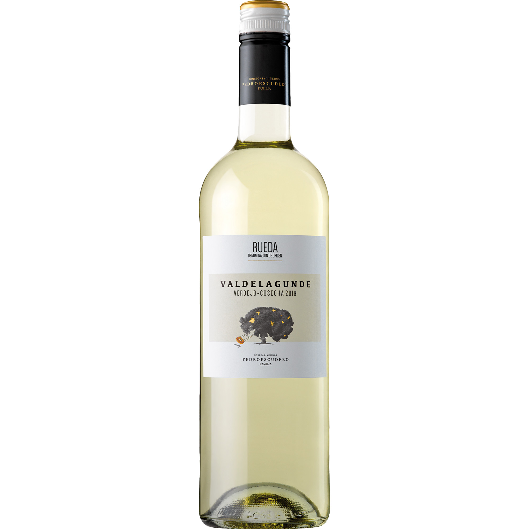 Pedro Escudero Valdelagunde Verdejo, Rueda DO, Vino de la Tierra de Castilla, 2024, Weißwein