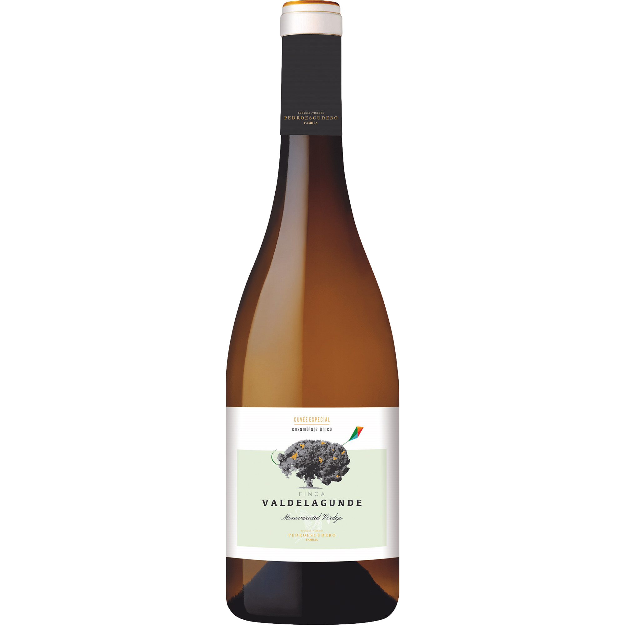 Pedro Escudero Valdelagunde Cuvée Especial, Vino de la Tierra Castilla y León, Vino de la Tierra de Castilla, 2024, Weißwein