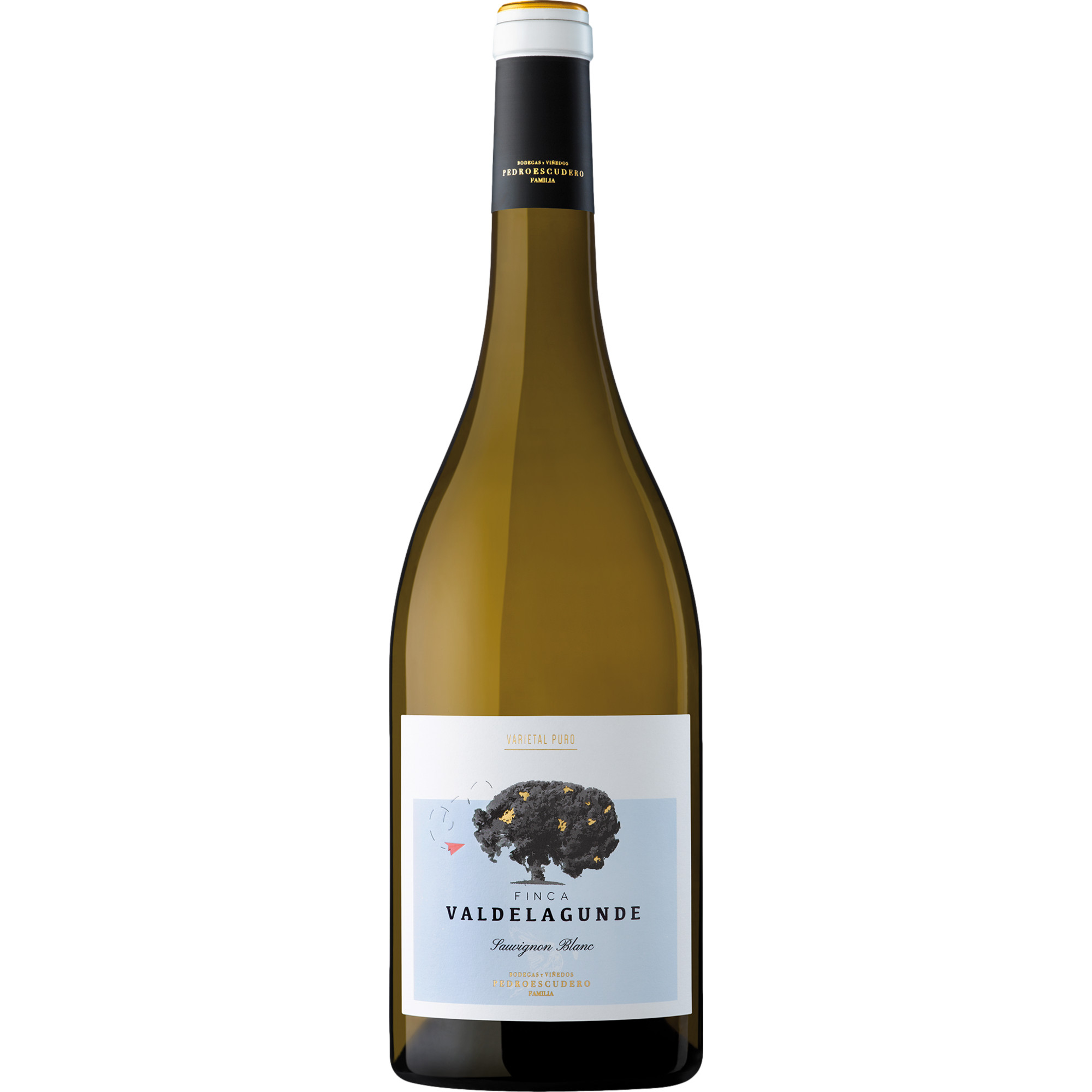 Pedro Escudero Valdelagunde Sauvignon Blanc, Vino de la Tierra Castilla y León, Vino de la Tierra de Castilla, 2024, Weißwein