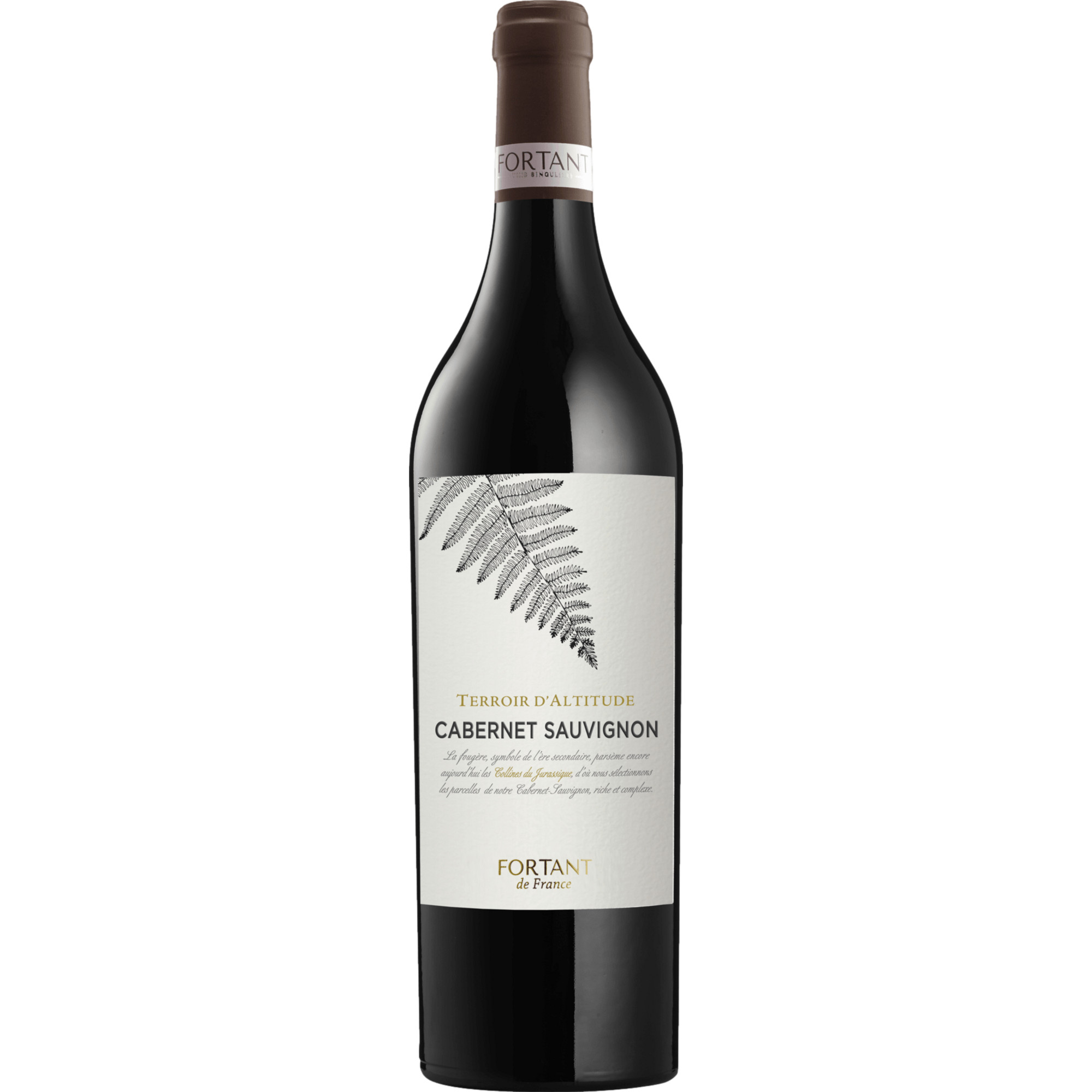 Terroir d'Altitude Cabernet Sauvignon, Pays d'Oc IGP, Languedoc-Roussillon, 2022, Rotwein