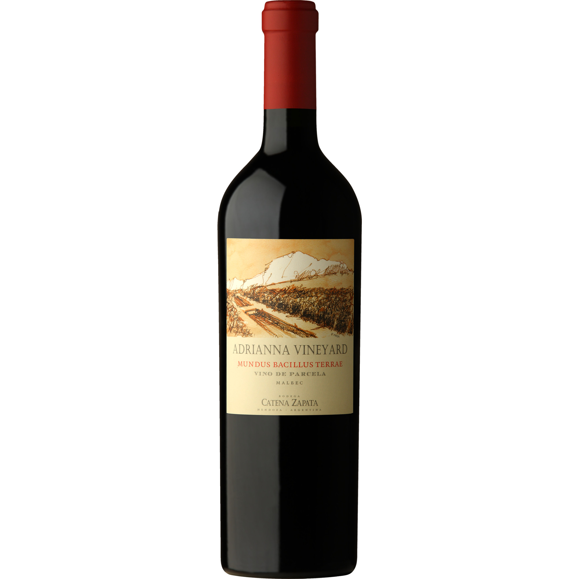 Adrianna Vineyard Mundus Bacillus Terrae, Mendoza, Mendoza, 2020, Rotwein