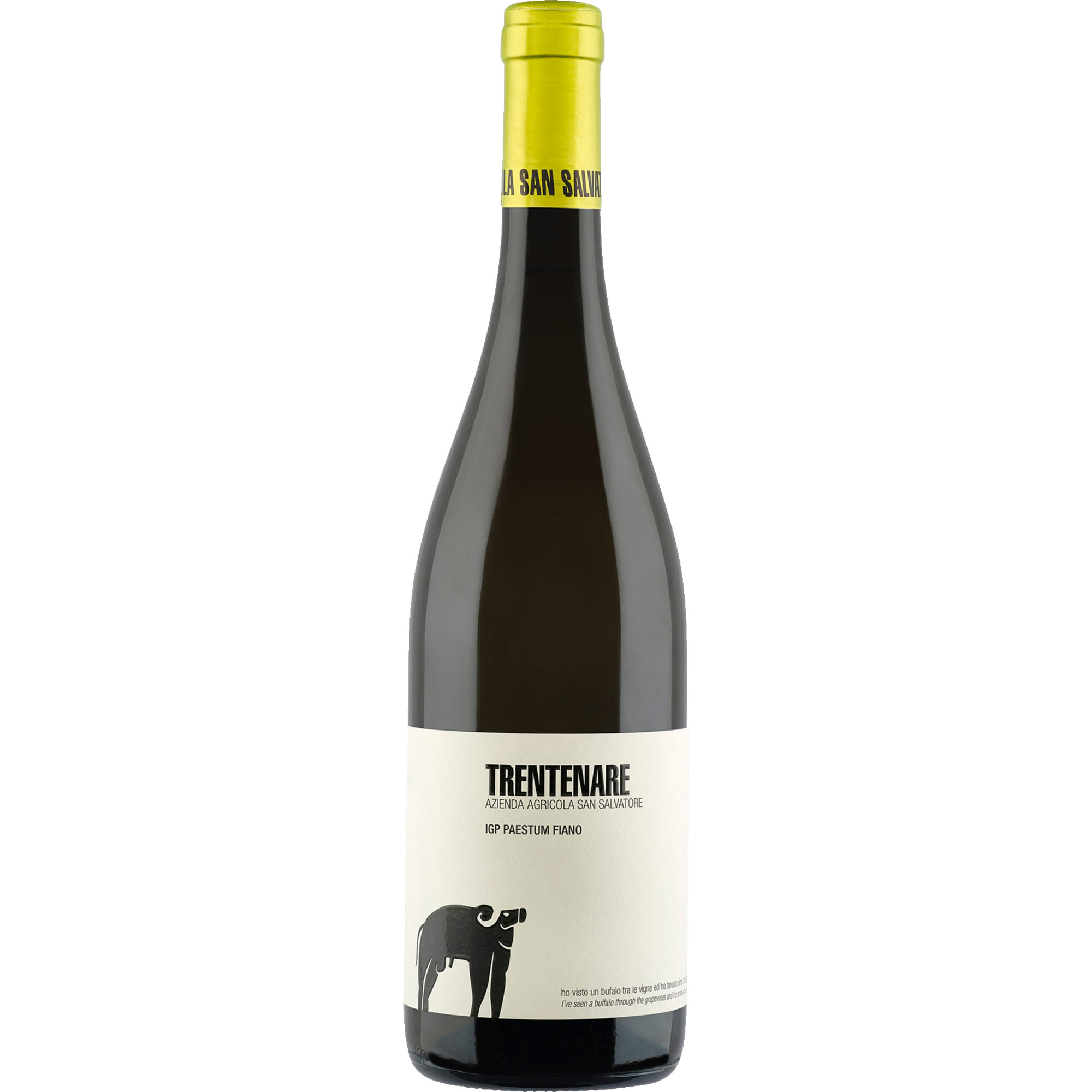 San Salvatore Trentenare Fiano, Paestum IGP, Kampanien, 2024, Weißwein