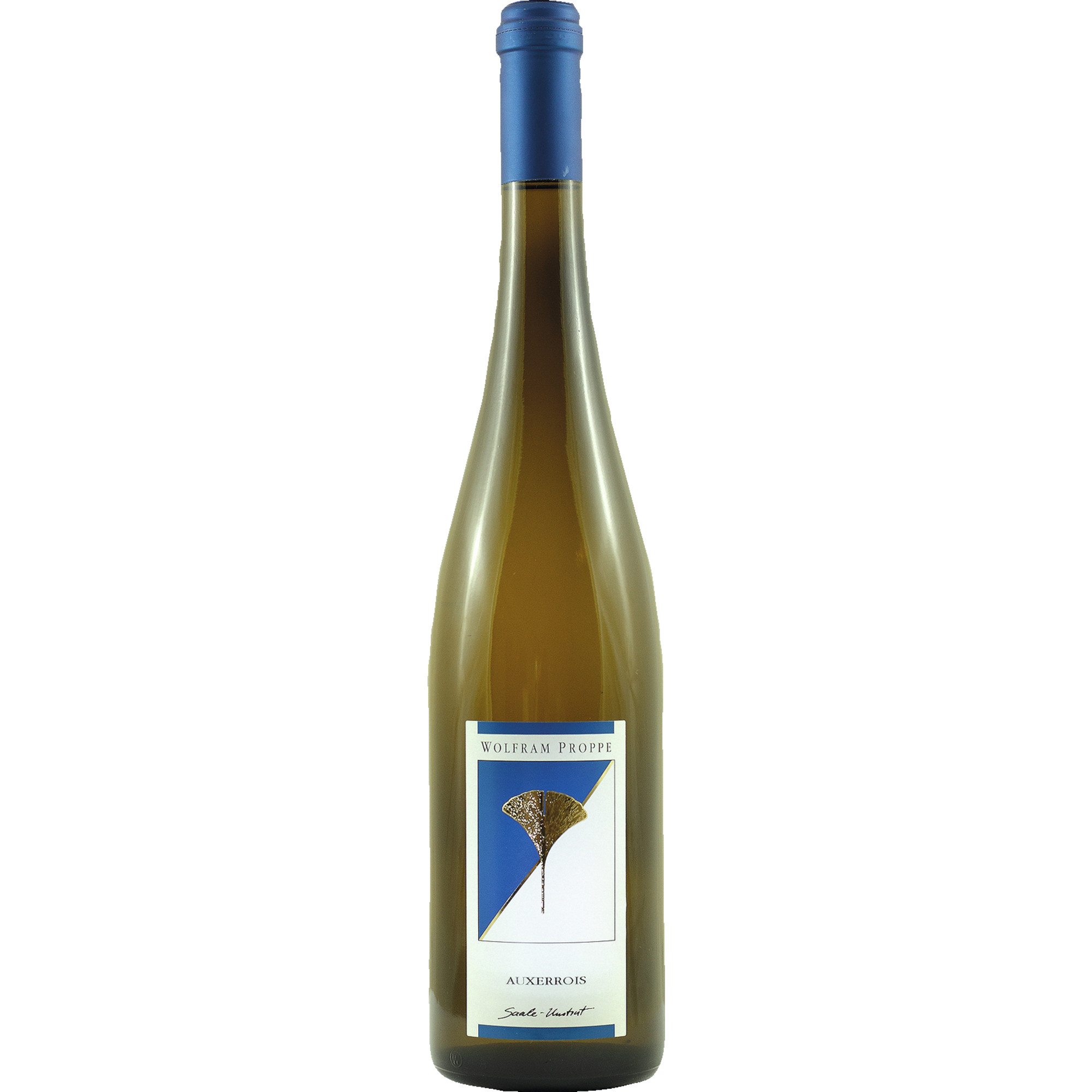 Proppe Auxerrois, trocken, Saale-Unstrut, Saale-Unstrut, 2024, Weißwein