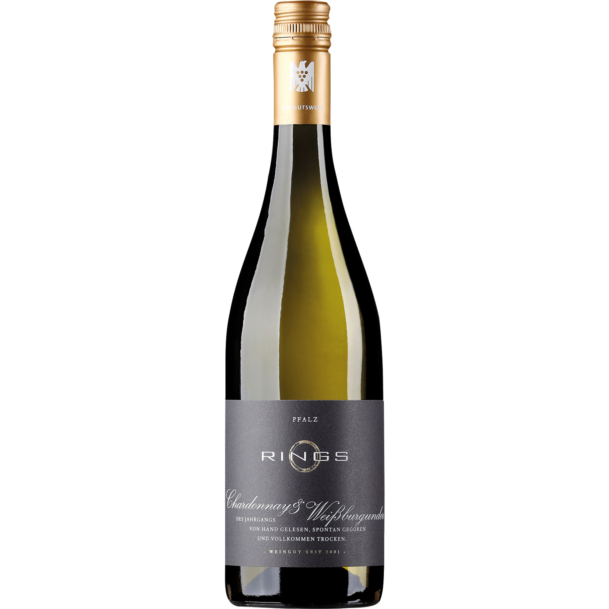 Rings Chardonnay & Weissburgunder, Trocken, Pfalz, Pfalz, 2023, Weißwein
