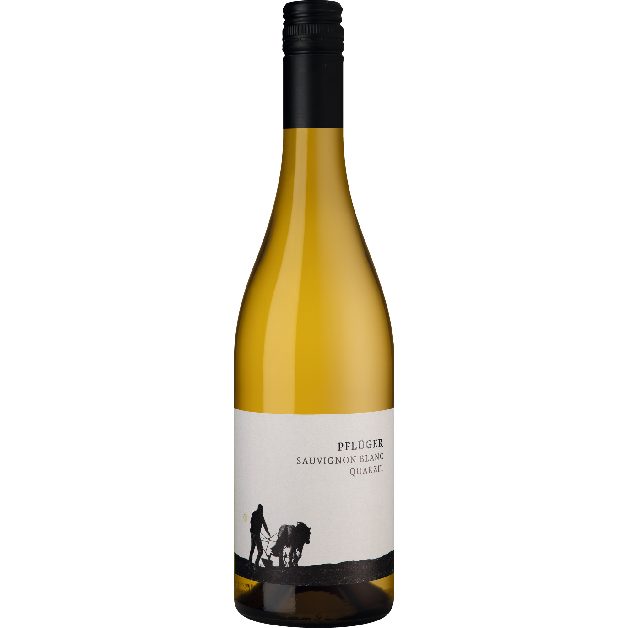 Pflüger Sauvignon Blanc vom Quarzit, Trocken, Pfalz, Pfalz, 2024, Weißwein