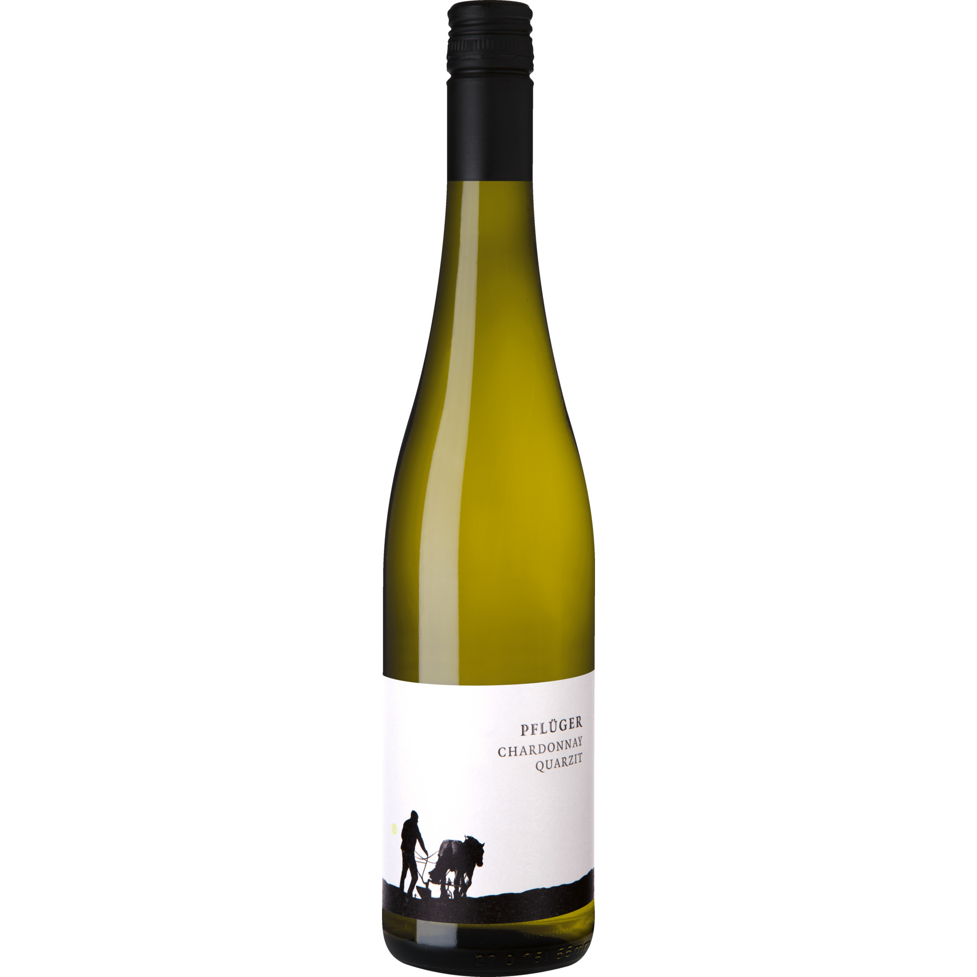 Pflüger Chardonnay vom Quarzit, Trocken, Pfalz, Pfalz, 2024, Weißwein