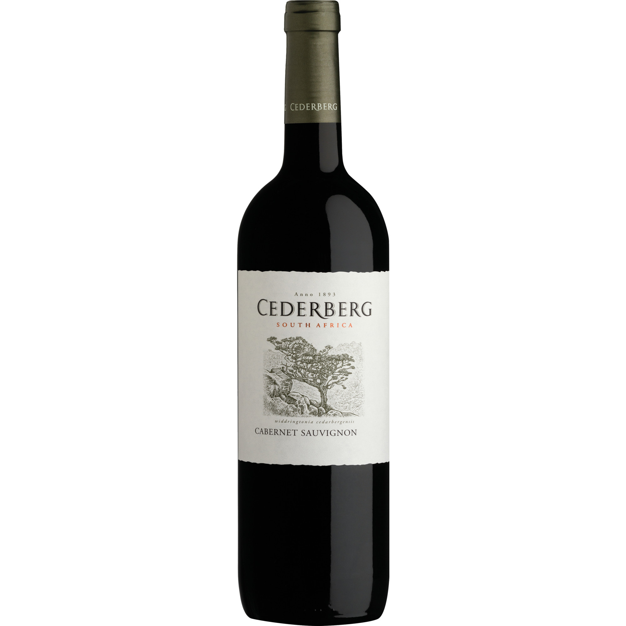 Cederberg Cabernet Sauvignon, Trocken, WO Cederberg, Cape South Coast, 2019, Rotwein