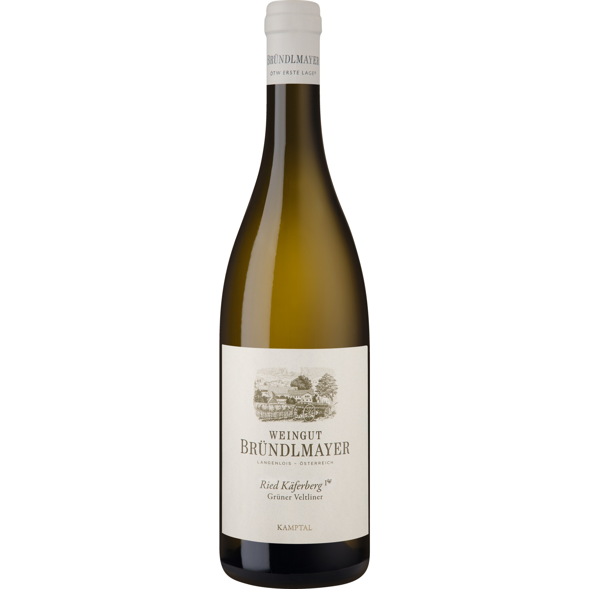 Bründlmayer Ried Käferberg Grüner Veltliner, Kamptal DAC, Erste Lage, Niederösterreich, 2023, Weißwein