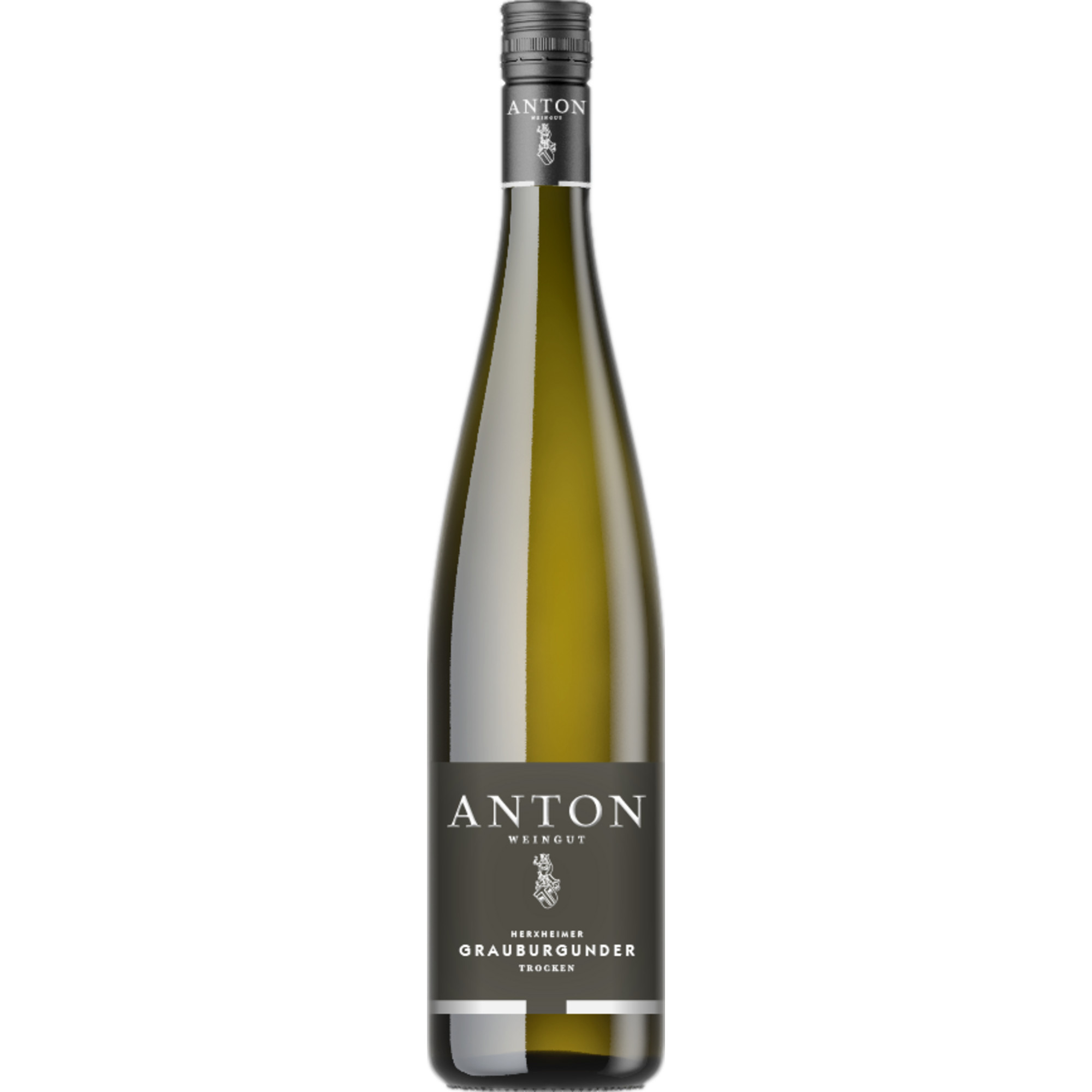 Matthias Anton Grauburgunder, Trocken, Pfalz, Pfalz, 2023, Weißwein