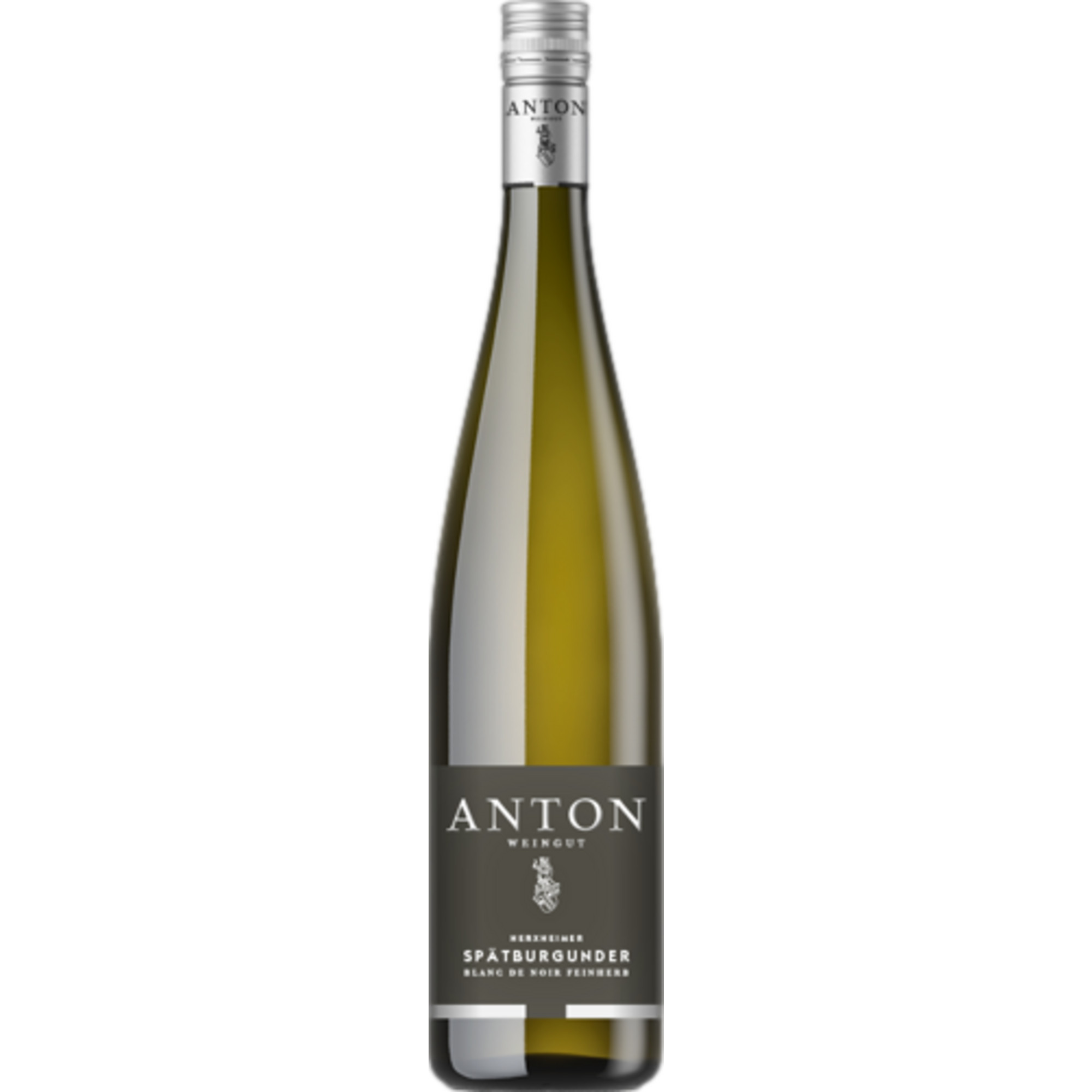 Matthias Anton Spätburgunder Blanc de Noir, Feinherb, Pfalz, Pfalz, 2023, Weißwein