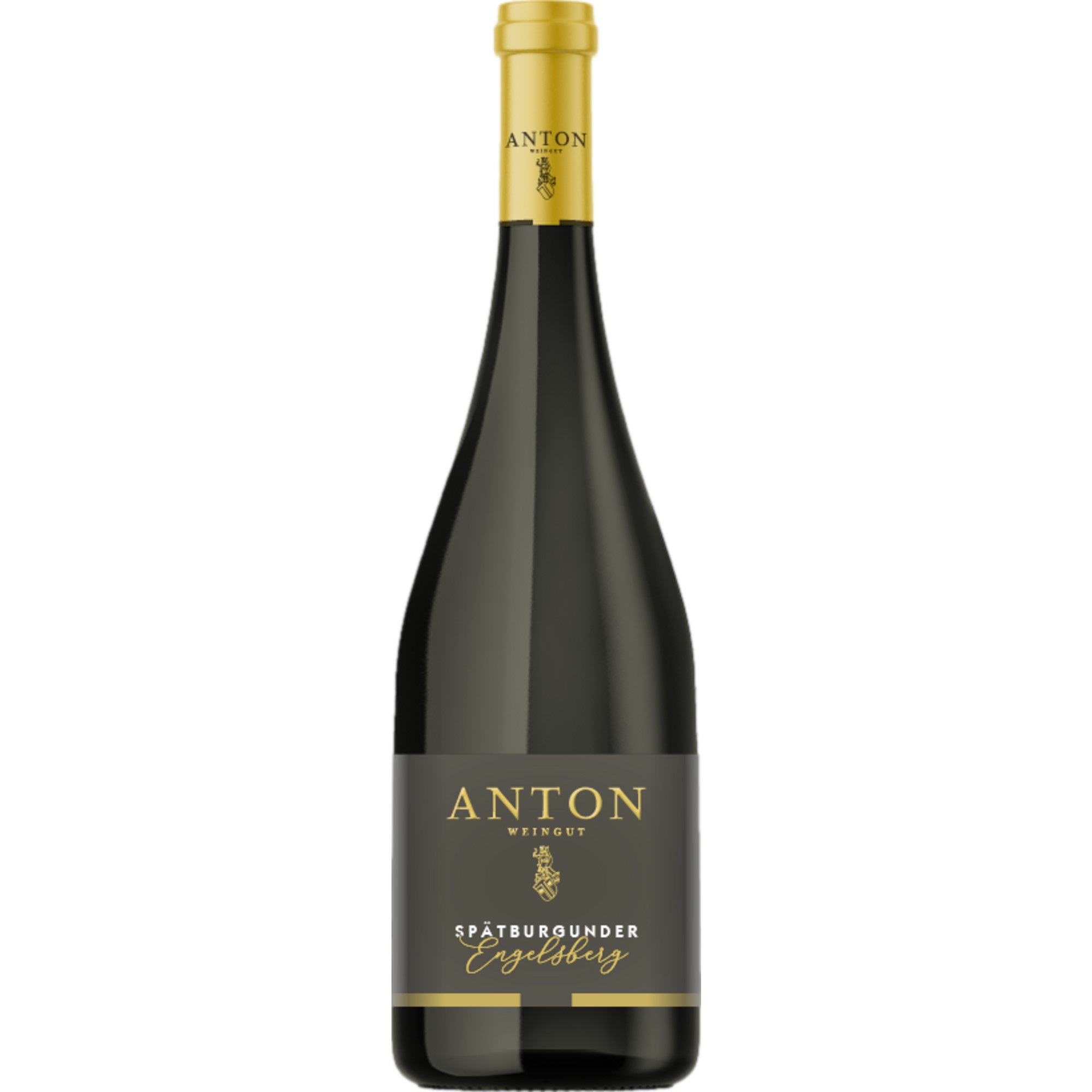 Matthias Anton Spätburgunder Réserve, Trocken, Pfalz, Pfalz, 2018, Rotwein