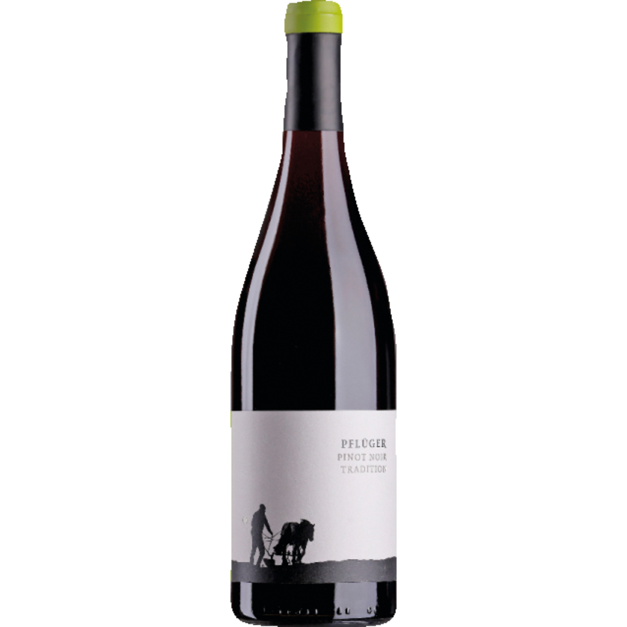 Tradition Pinot Noir, Trocken, Pfalz, Pfalz, 2023, Rotwein